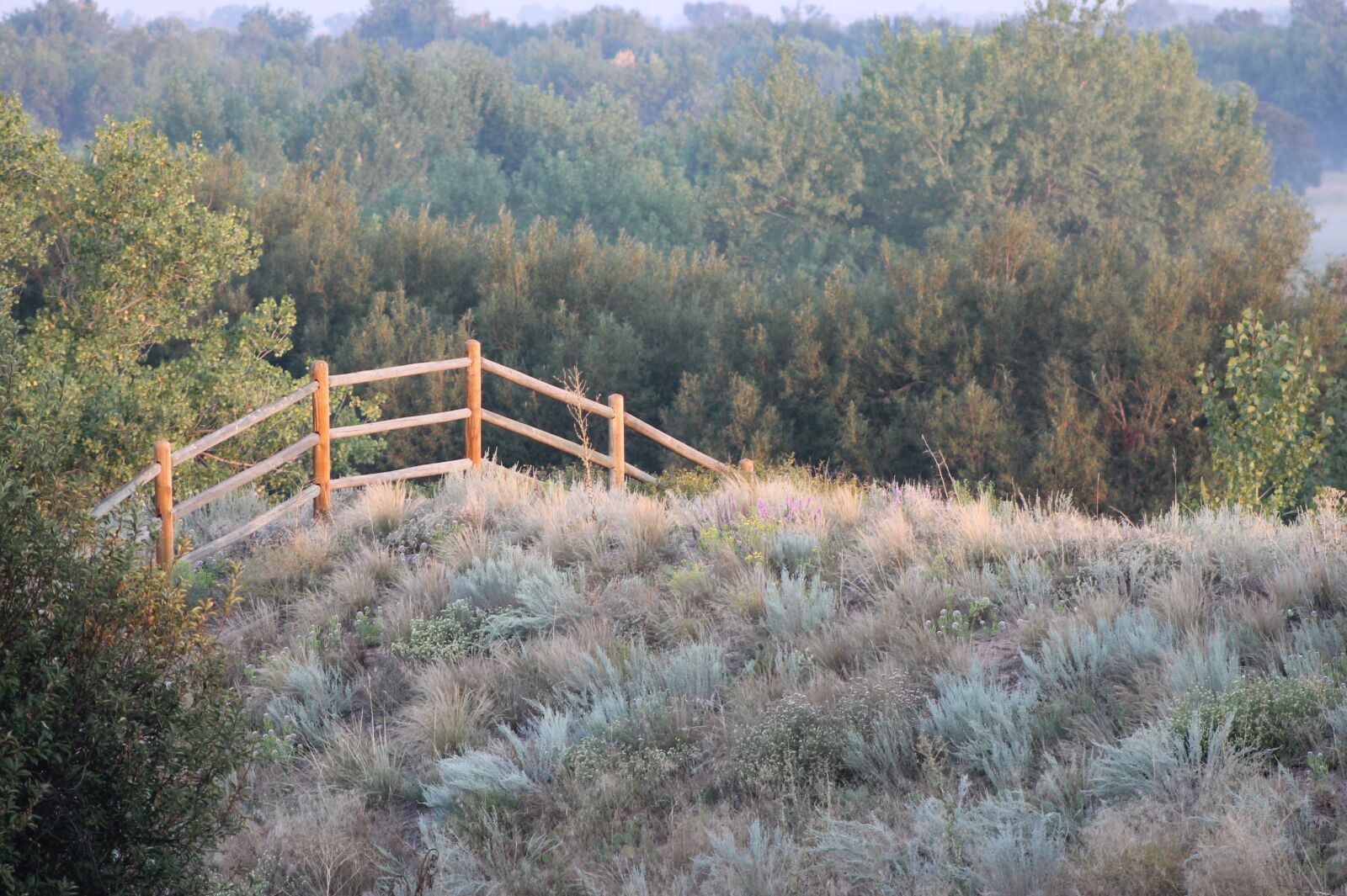 Canon EOS 1100D (EOS Rebel T3 / EOS Kiss X50) sample photo. Fence, hill, landscape photography