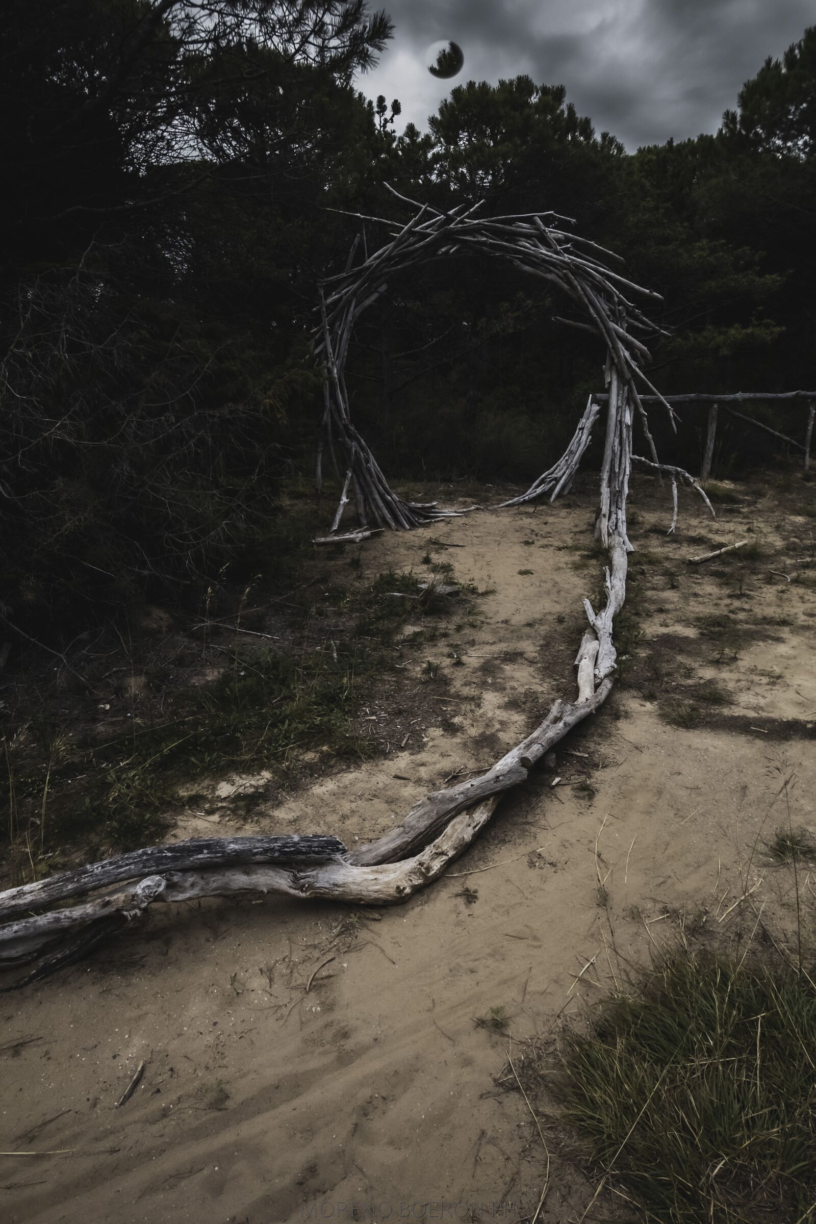 Canon EOS 80D sample photo. Forest, mystery, magic photography