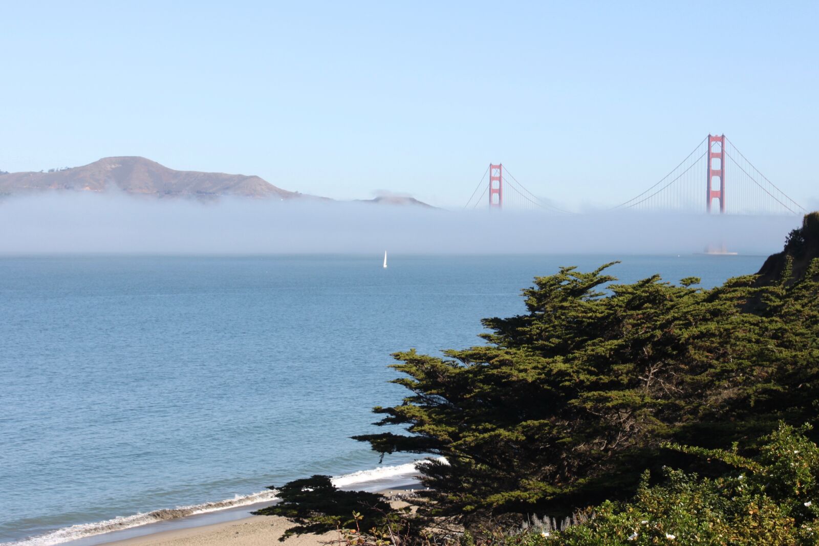 Canon EOS 500D (EOS Rebel T1i / EOS Kiss X3) sample photo. Bridge, san francisco, fog photography