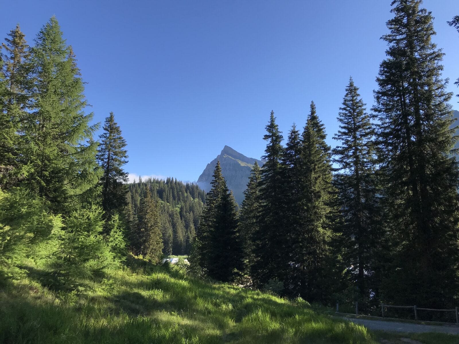 iPhone 7 back camera 3.99mm f/1.8 sample photo. Towards the rodond, alpine photography