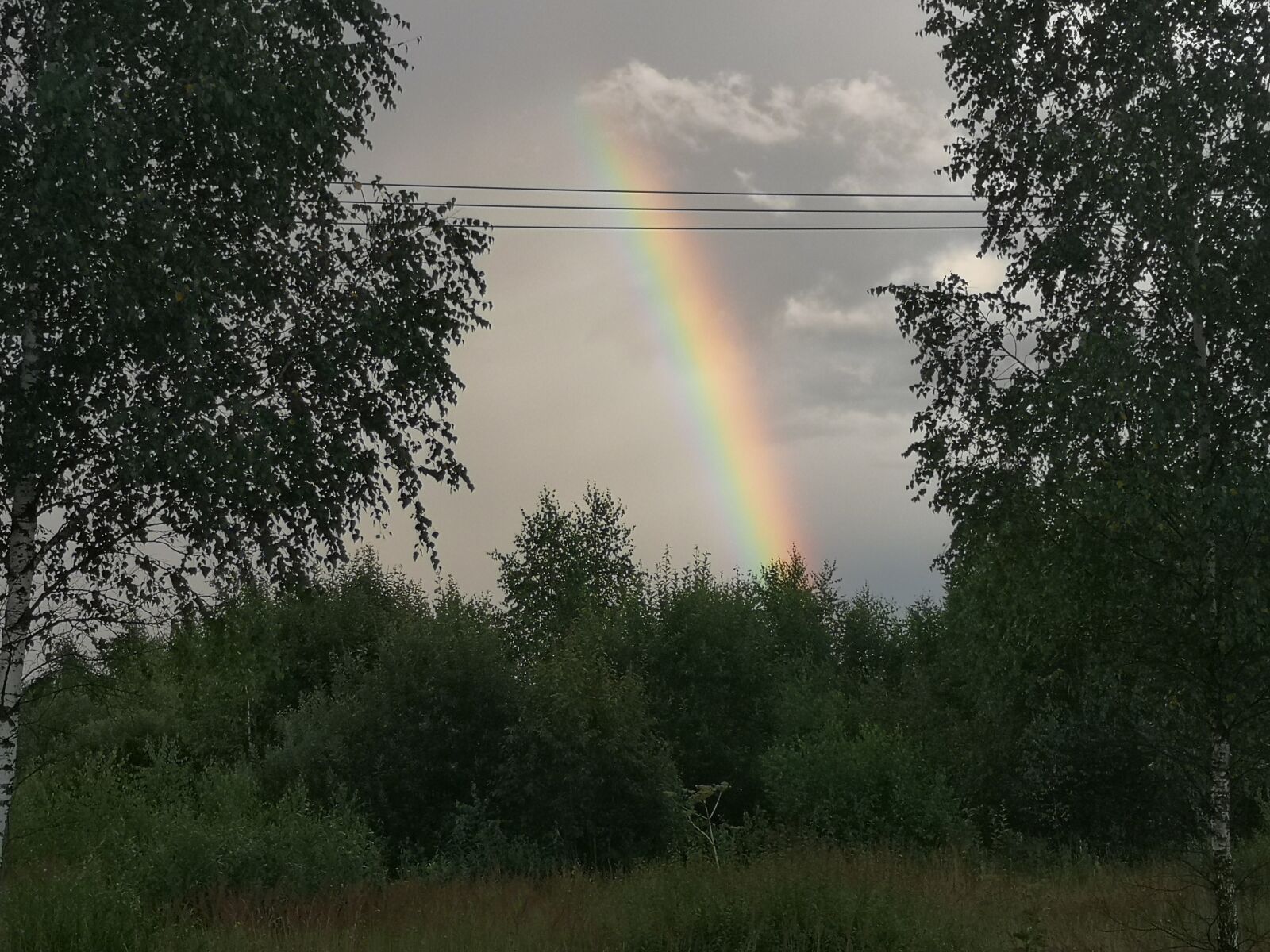 HUAWEI CLT-L29 sample photo