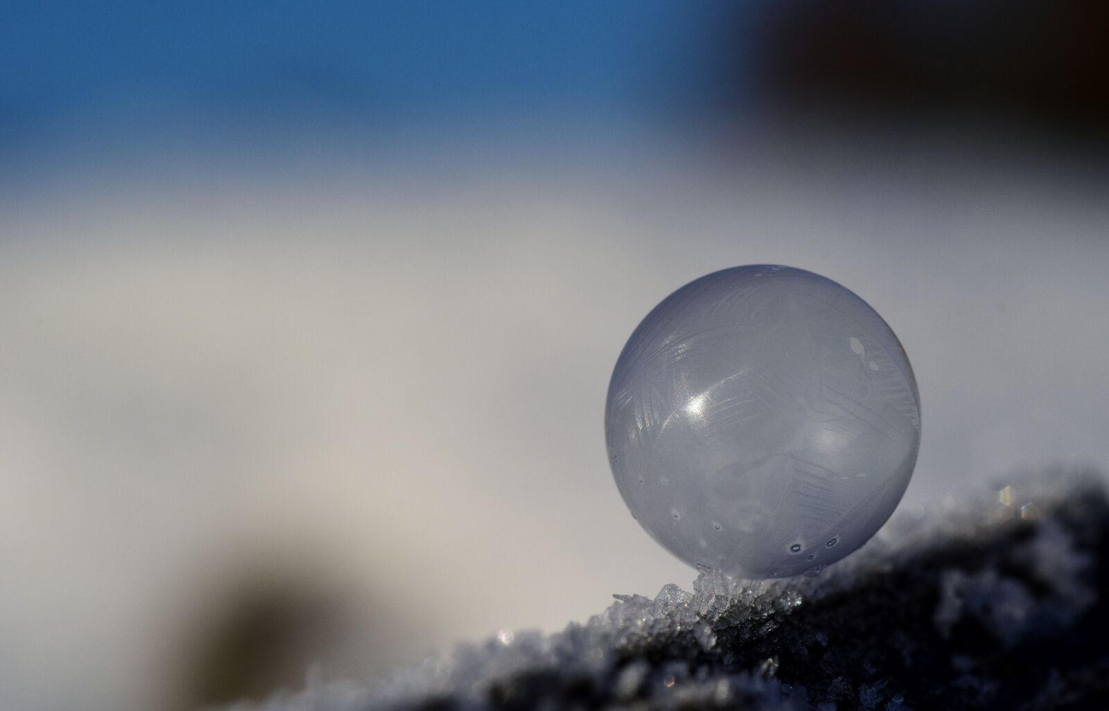 Nikon D3300 sample photo. Ball, frozen, frosted photography