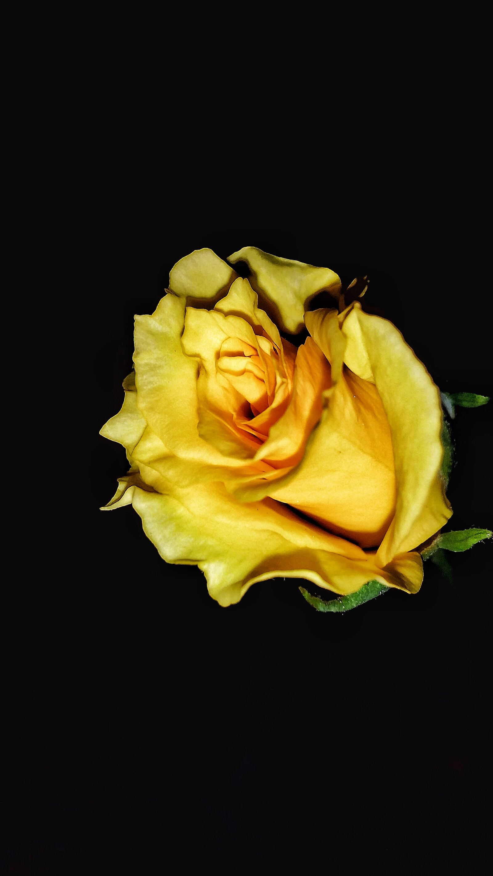 Micromax Canvas Spark sample photo