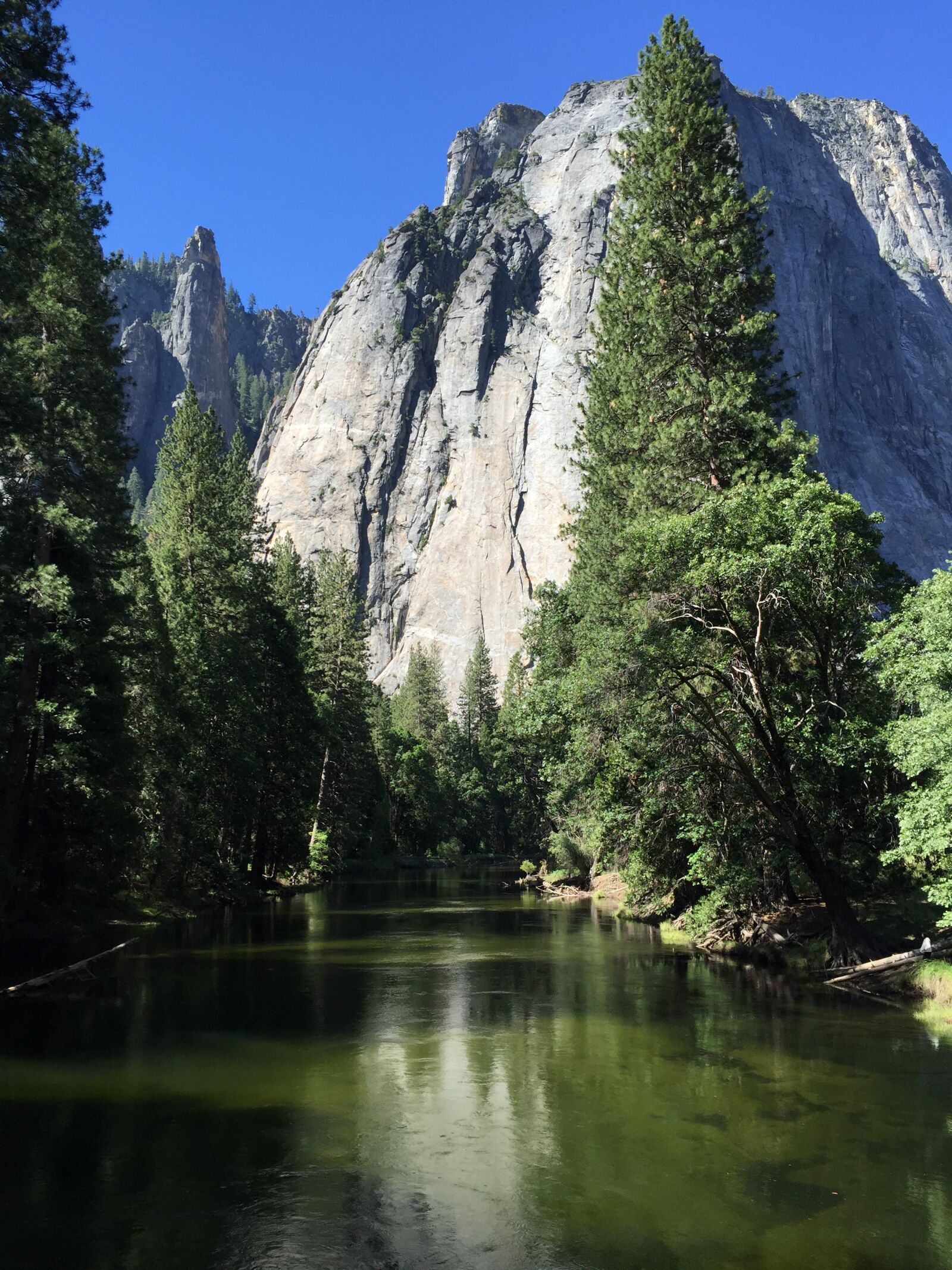 Apple iPhone 6 sample photo. Blue, camping, green, hiking photography