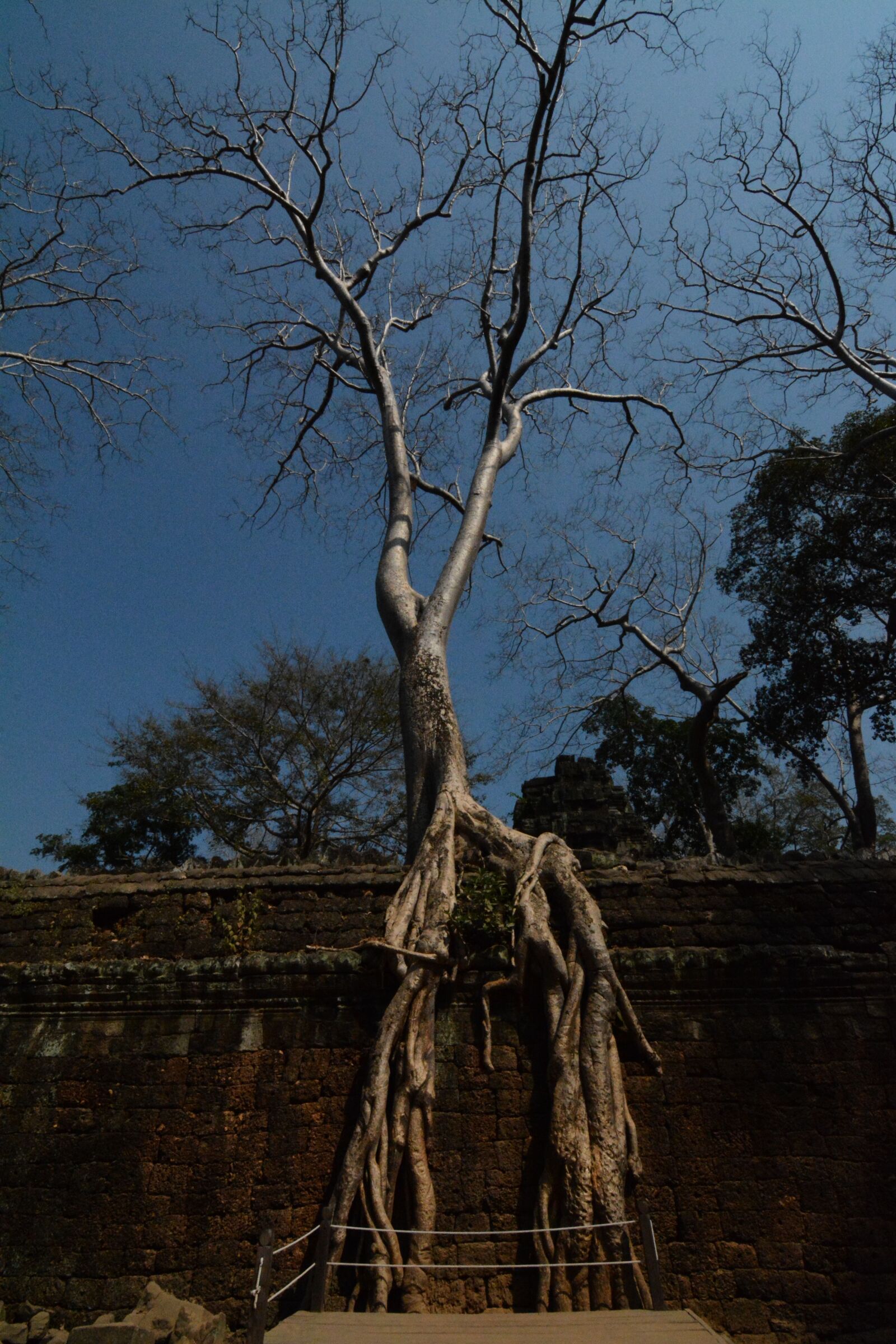 Nikon D7100 sample photo