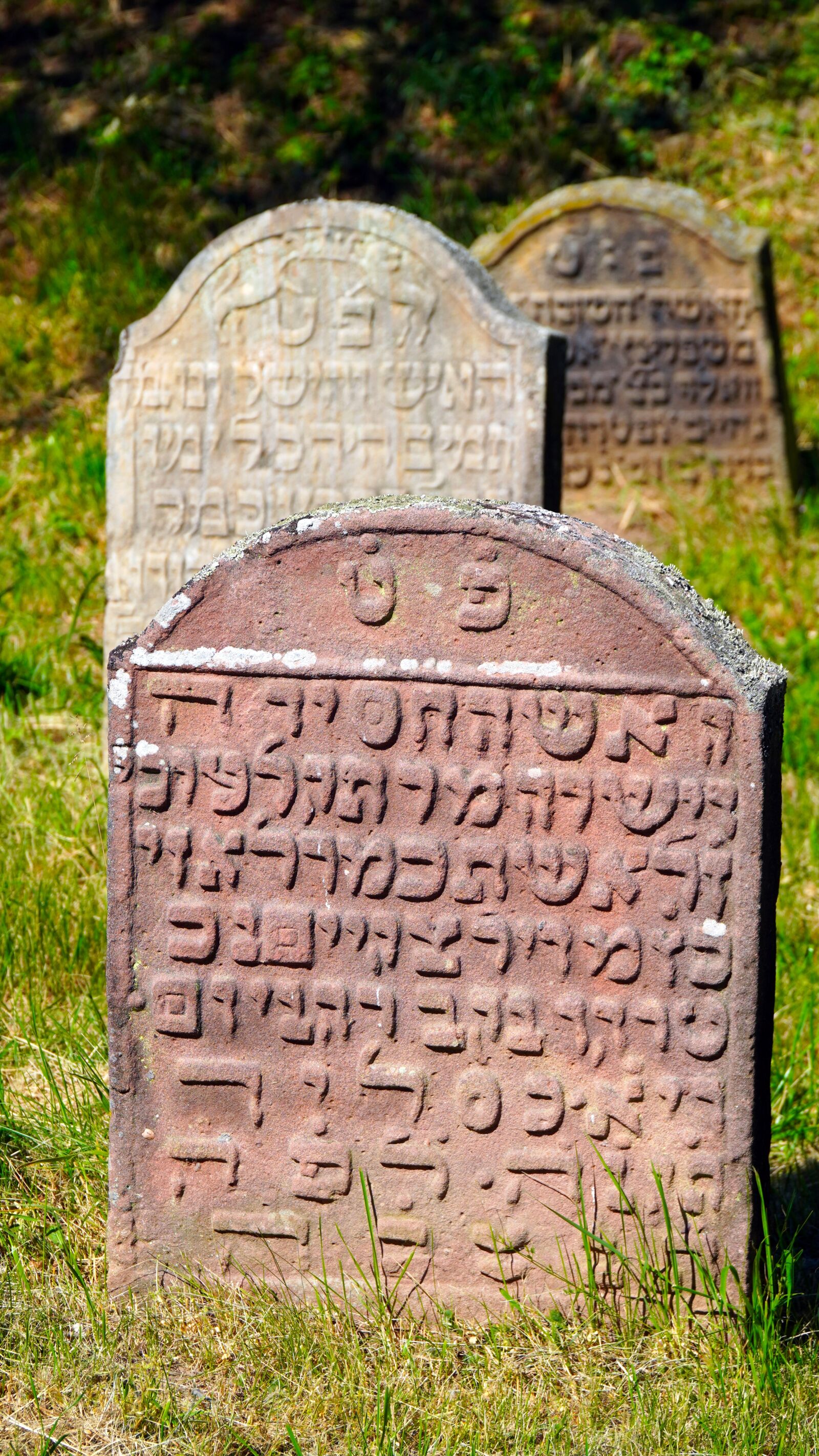 Sony a6400 + Sony E PZ 18-105mm F4 G OSS sample photo. Cemetery, jewish, grave photography
