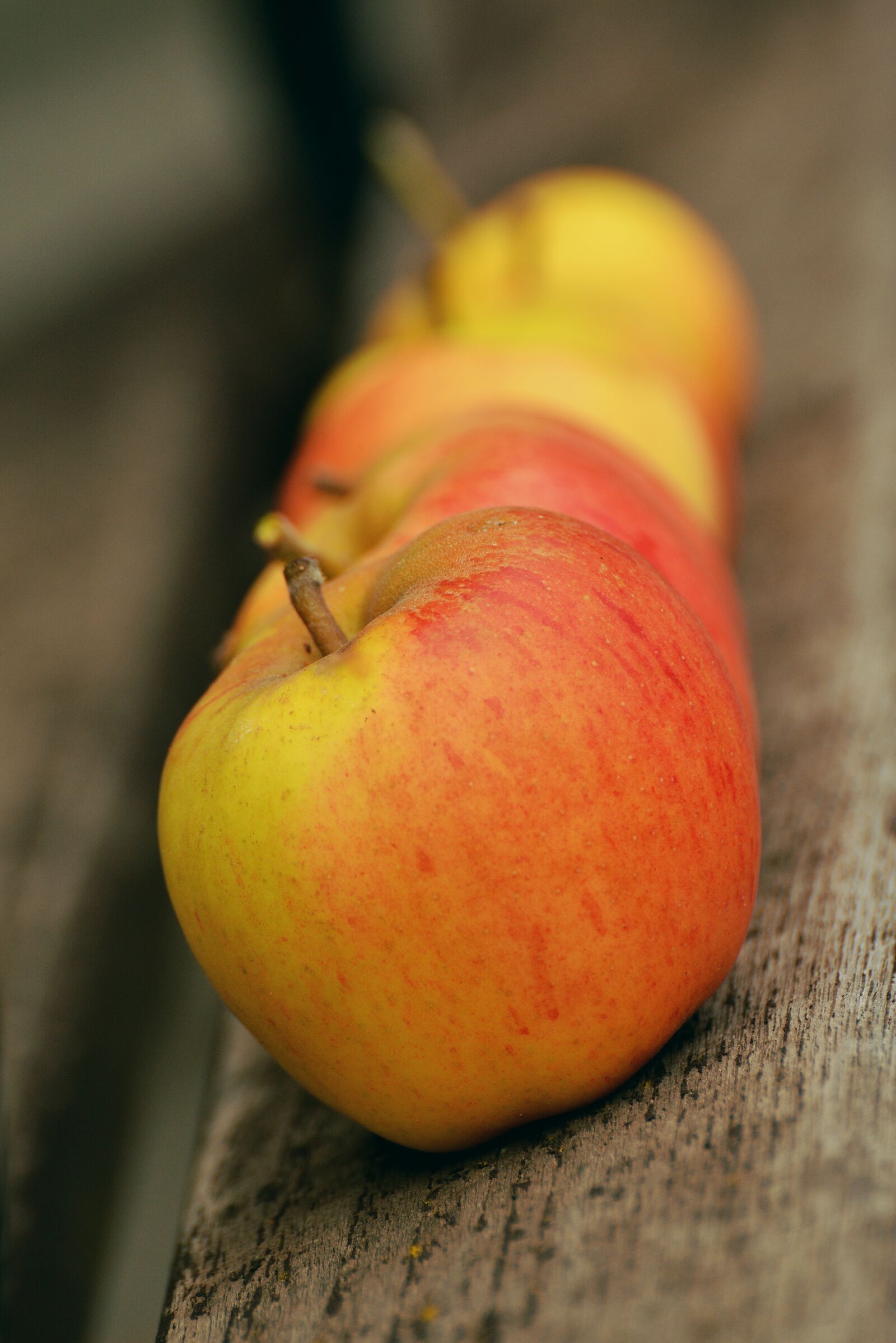 Nikon D5200 sample photo. Apple, goldparmäne, fruit photography