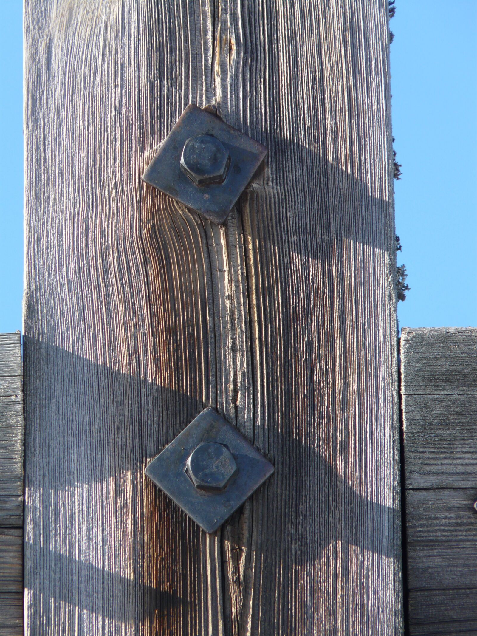 Panasonic DMC-FZ18 sample photo. Screw, gland, wood photography