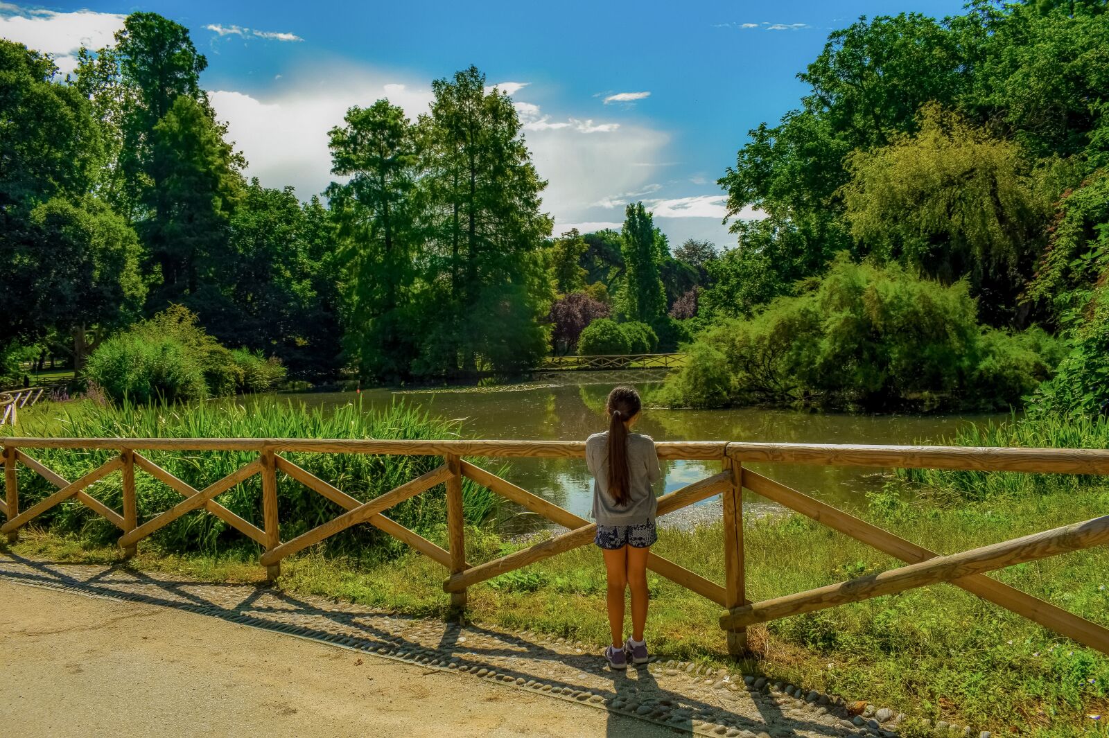 Nikon D3300 sample photo. Park, lake, forest photography