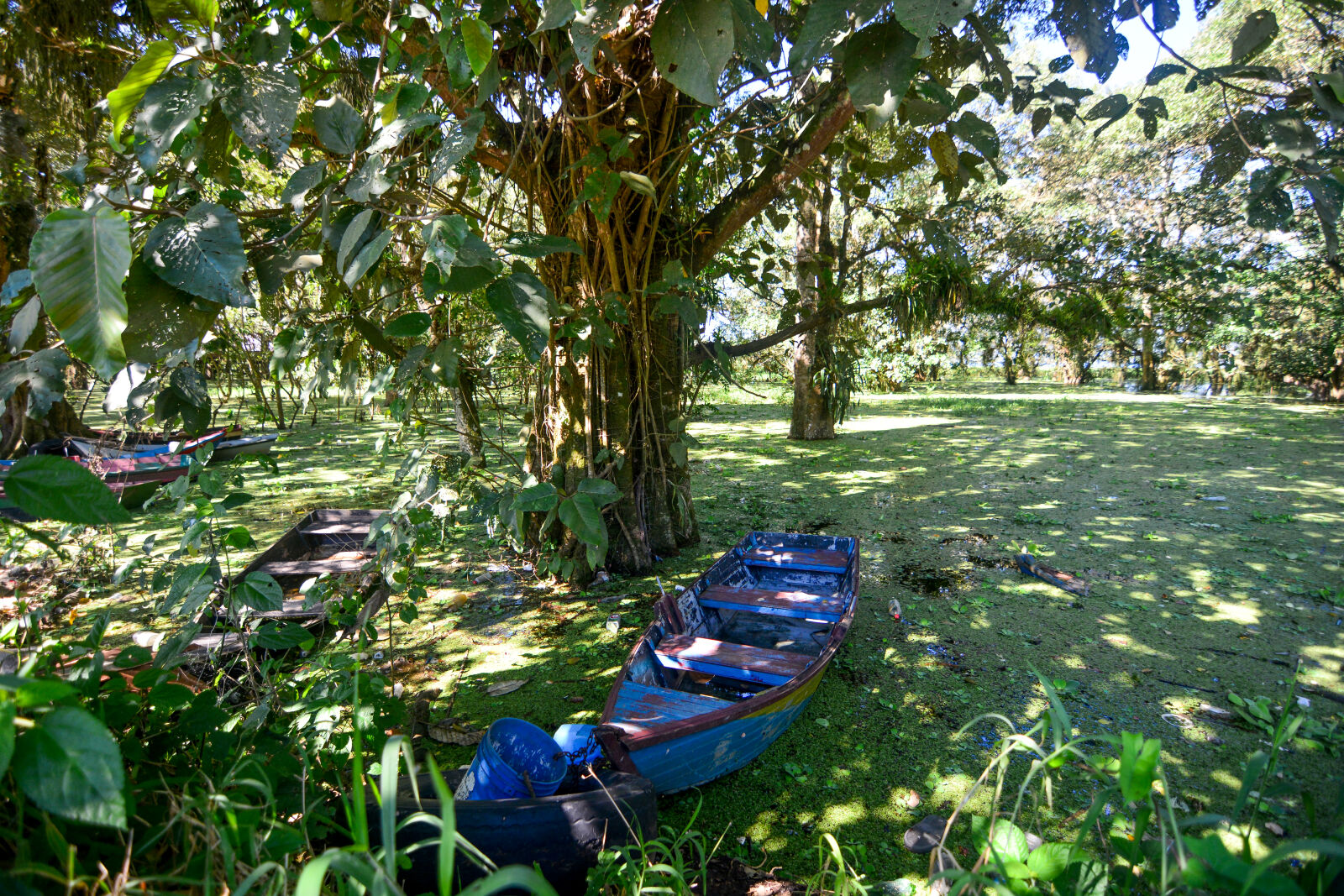 Nikon D7100 sample photo. Canoa lago de yojoa photography