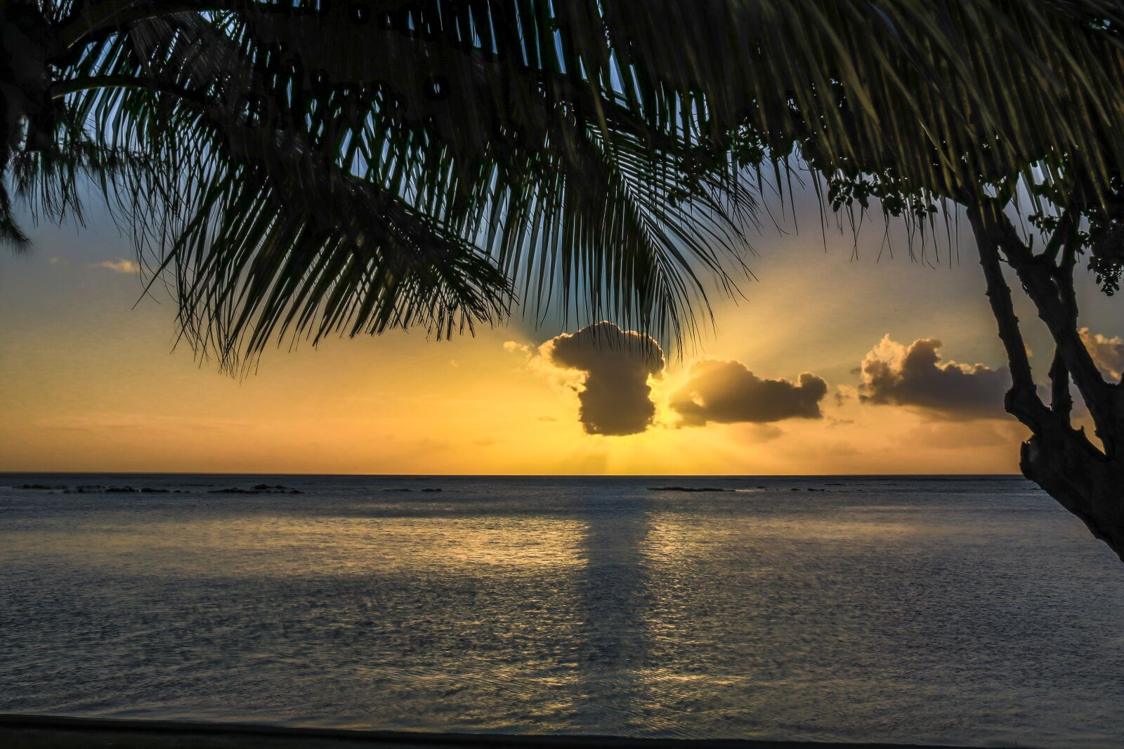 Canon EF-S 18-200mm F3.5-5.6 IS sample photo. Palms, sunset, sky photography
