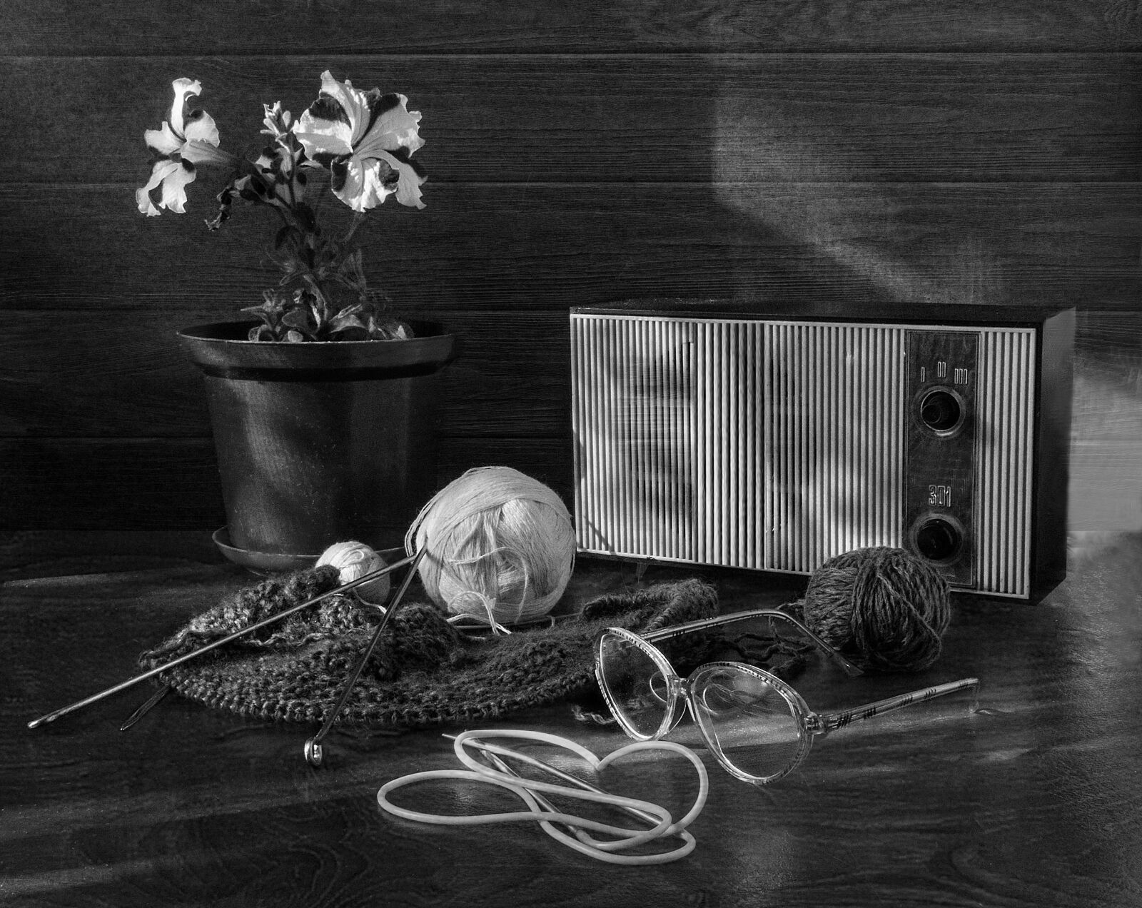 Canon PowerShot A590 IS sample photo. Still life, tangle, radio photography