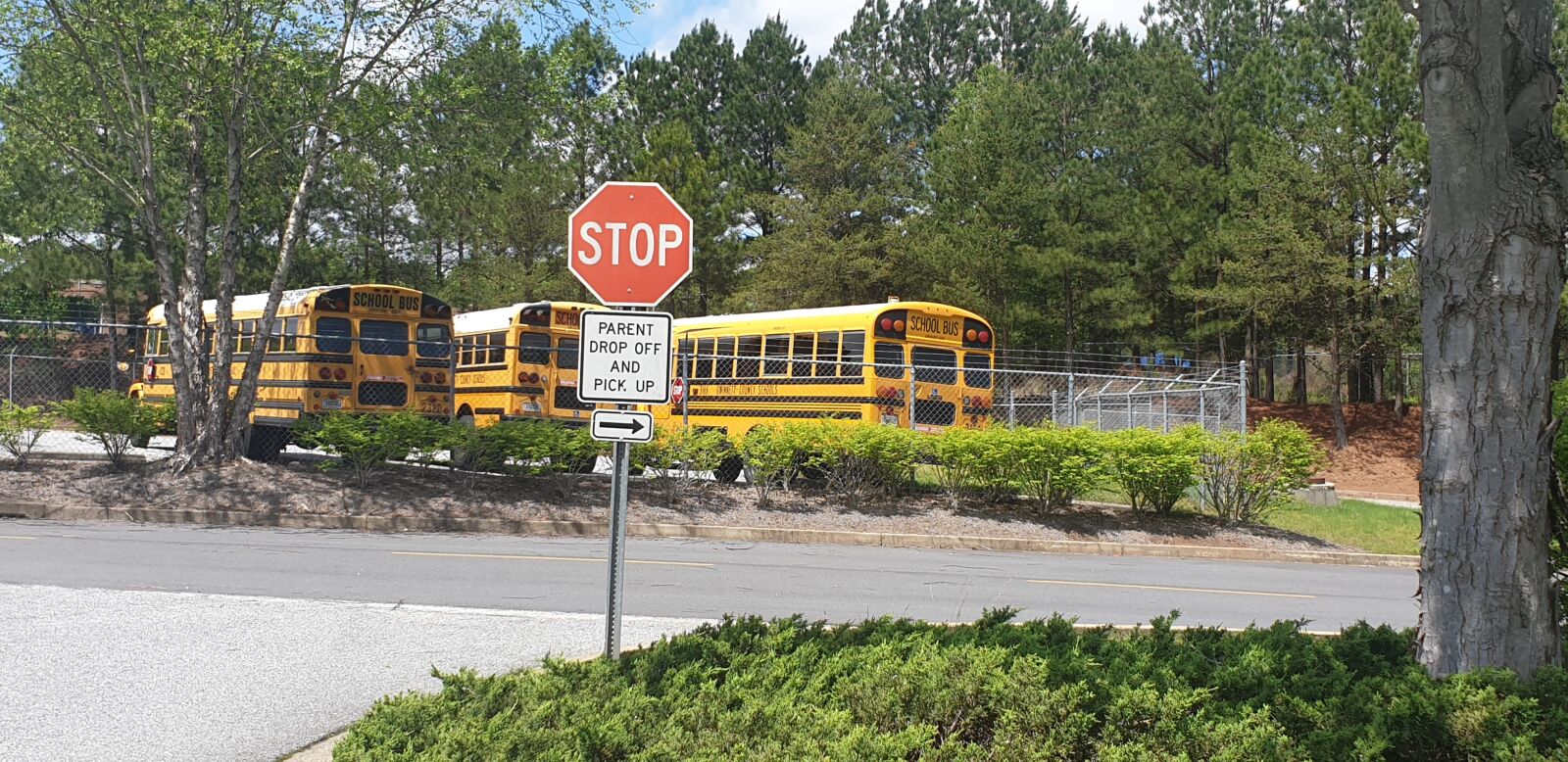 Samsung Galaxy Note9 sample photo. School bus, stop, bus photography