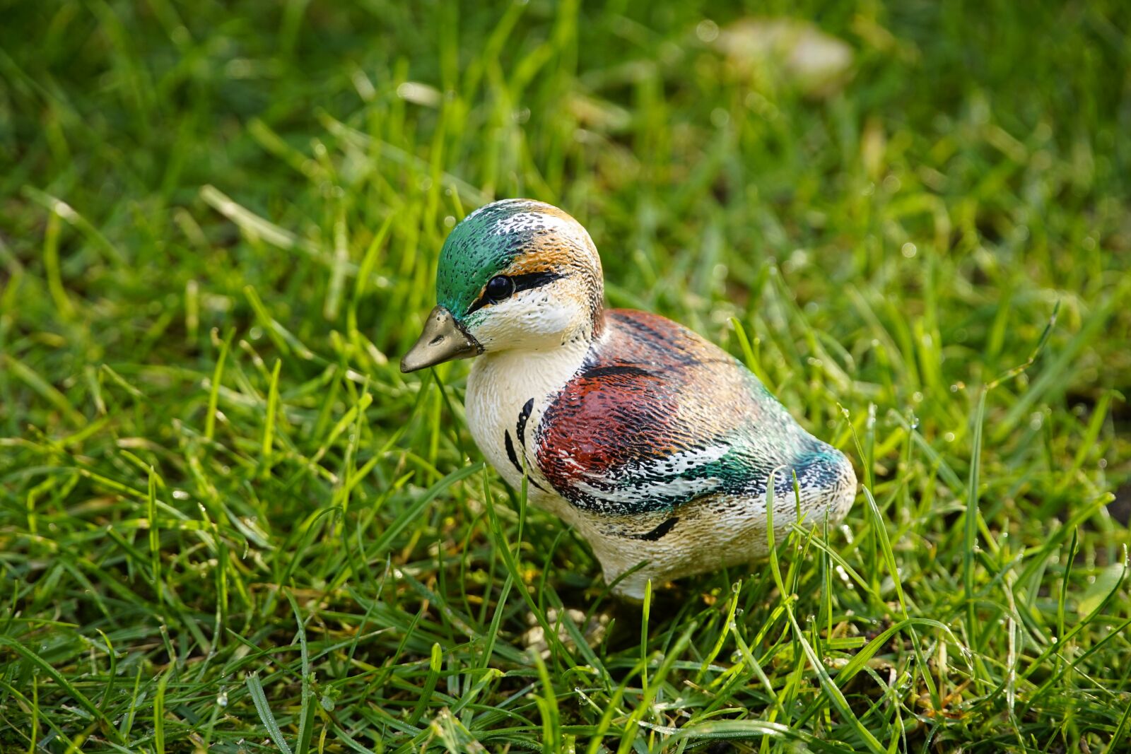 Sony a7R II + Sony E PZ 18-105mm F4 G OSS sample photo. Duckling, duck, statuette photography