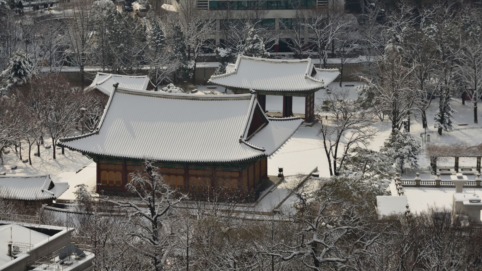 Nikon D800 sample photo. Forbidden city, snow, traditional photography