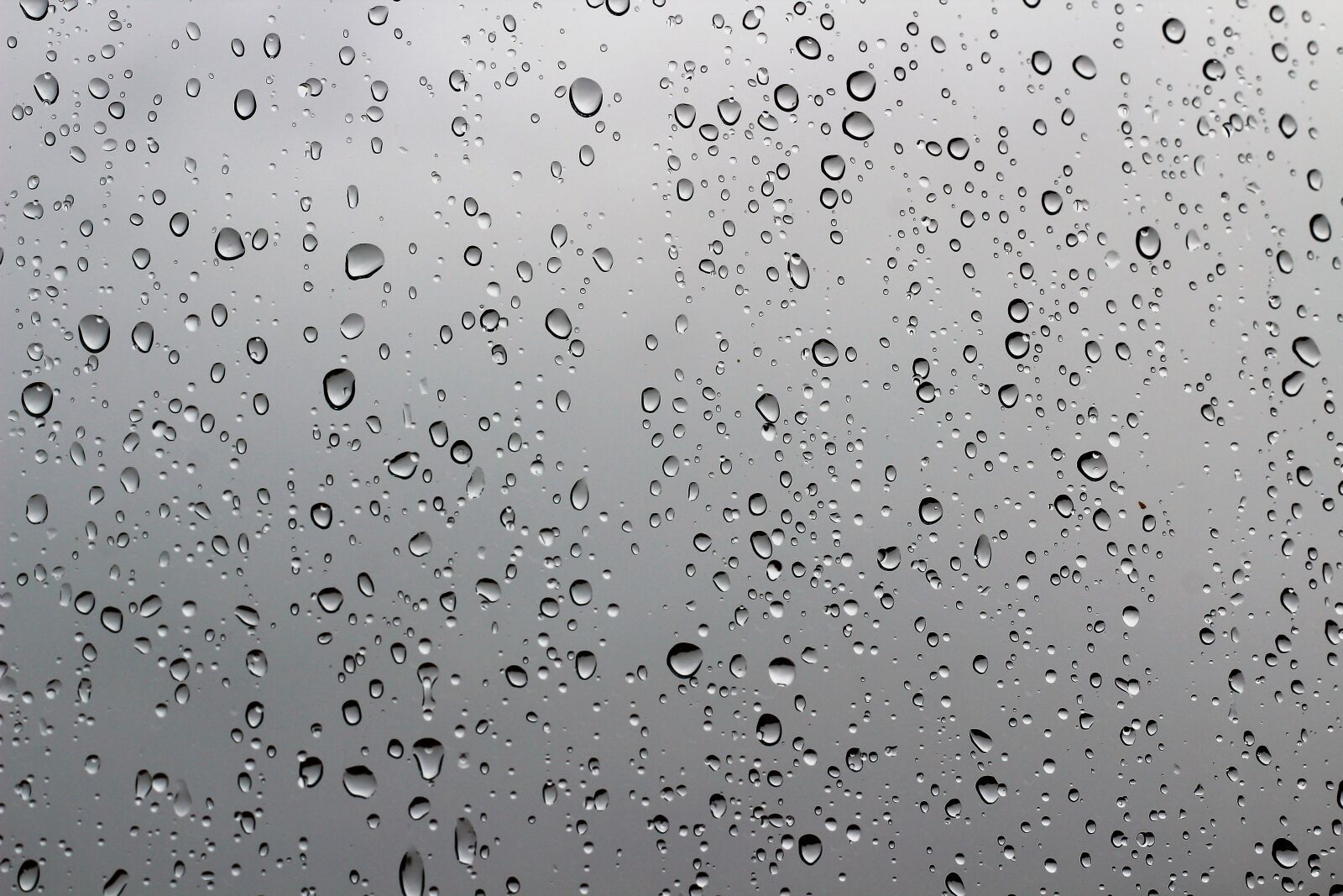 Canon EOS 600D (Rebel EOS T3i / EOS Kiss X5) + Canon EF 50mm F1.8 II sample photo. Window, glass, rain drops photography