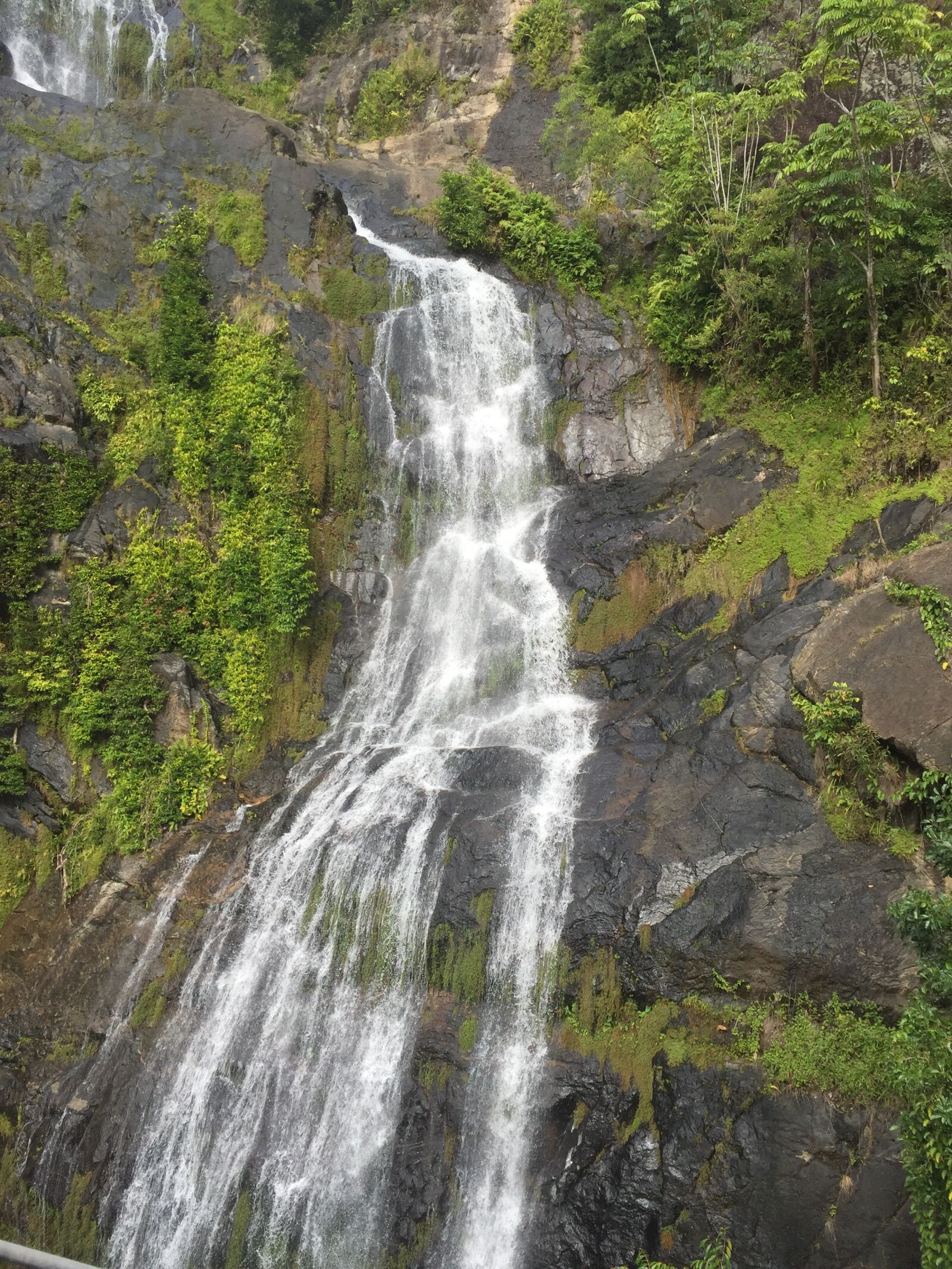 Apple iPhone 6 sample photo. Waterfall, green, nature photography