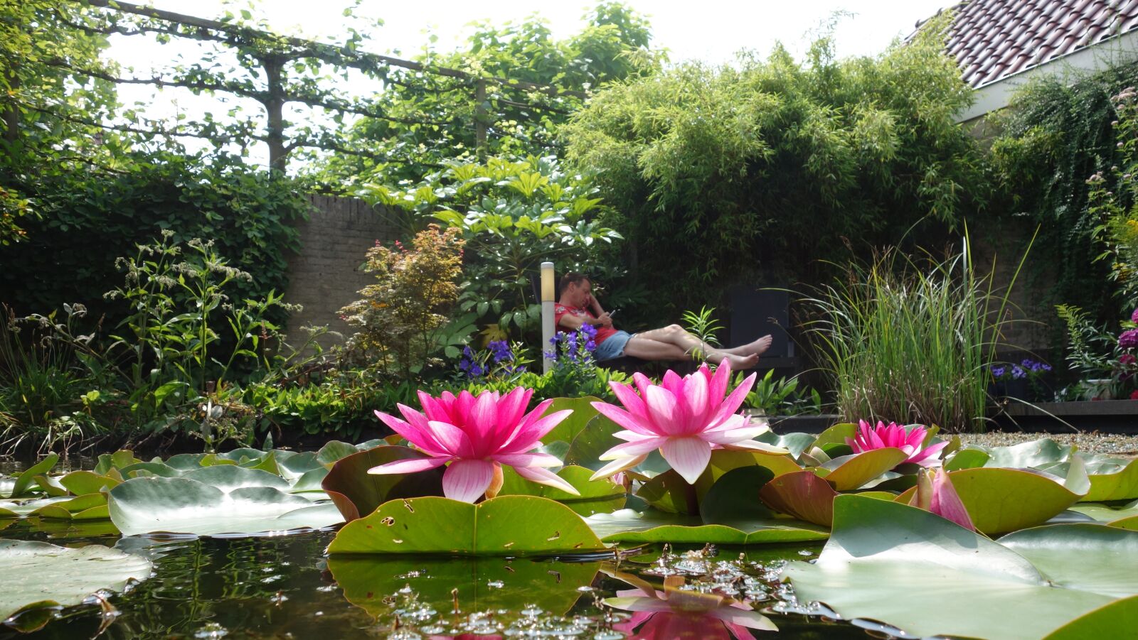 Sony Cyber-shot DSC-RX100 sample photo. Pond, water, green photography
