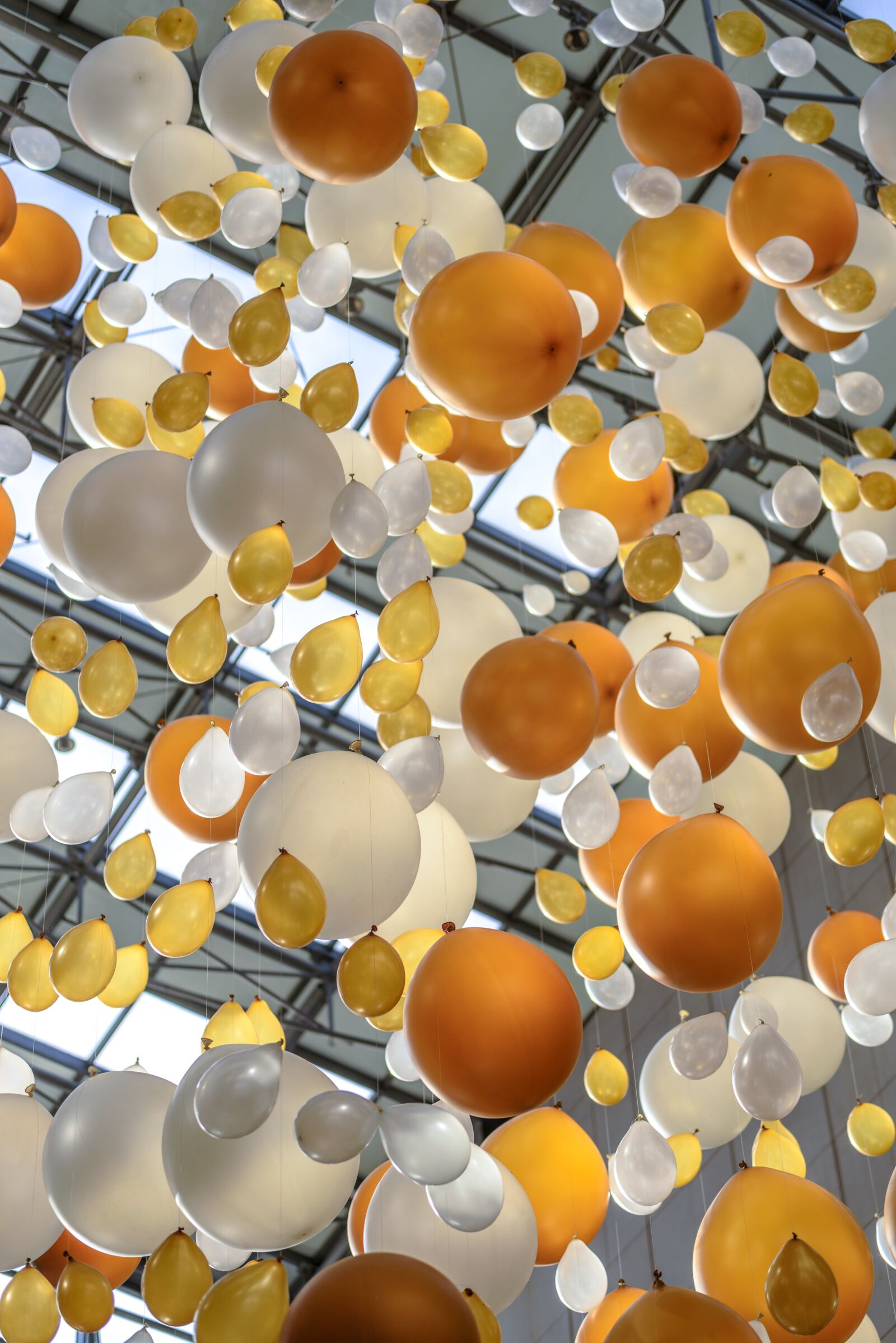 Nikon D750 sample photo. Balloons, decoration, arrangement photography