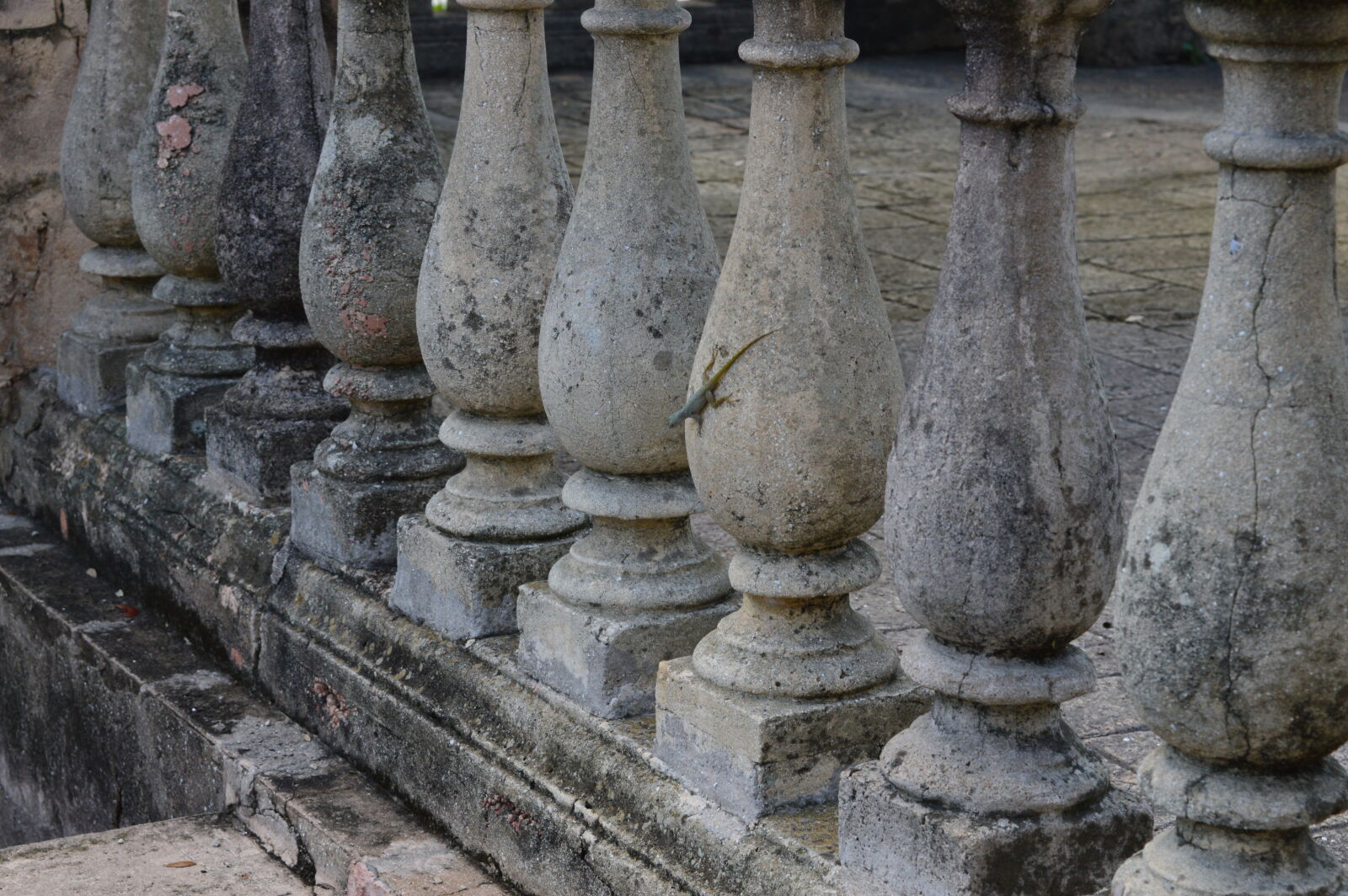 Nikon D3200 sample photo. Coral, gables, country, club photography