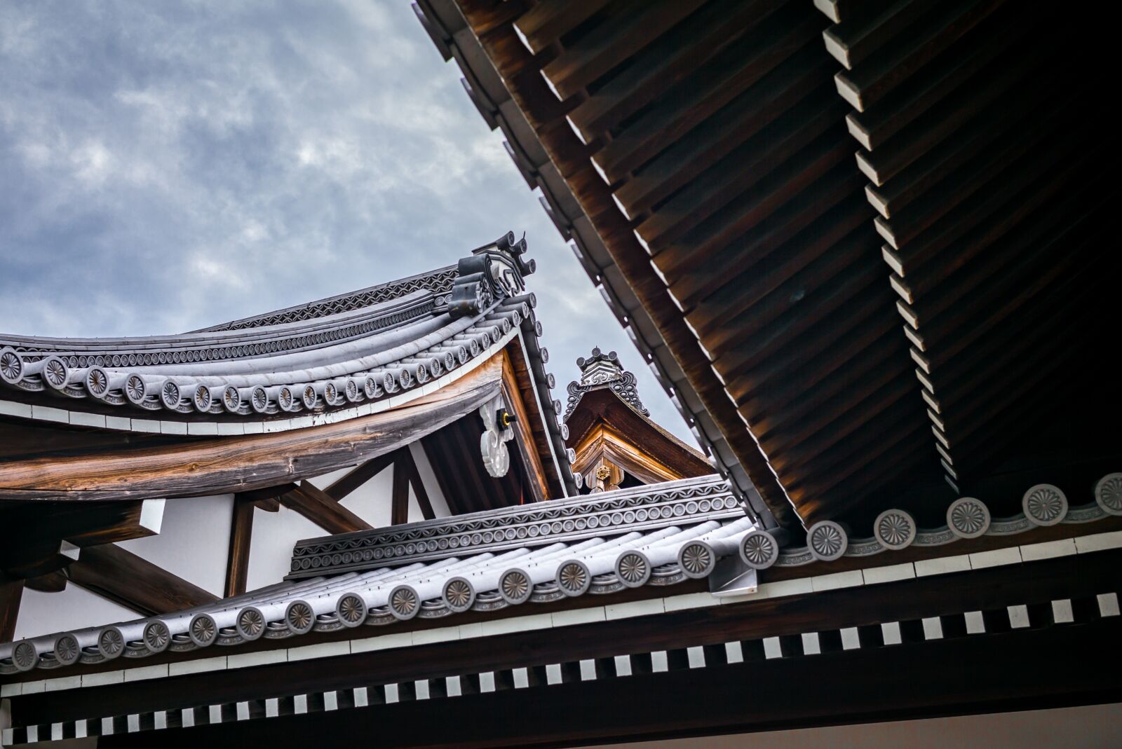 Leica M (Typ 240) sample photo. Roof, oval, lines photography