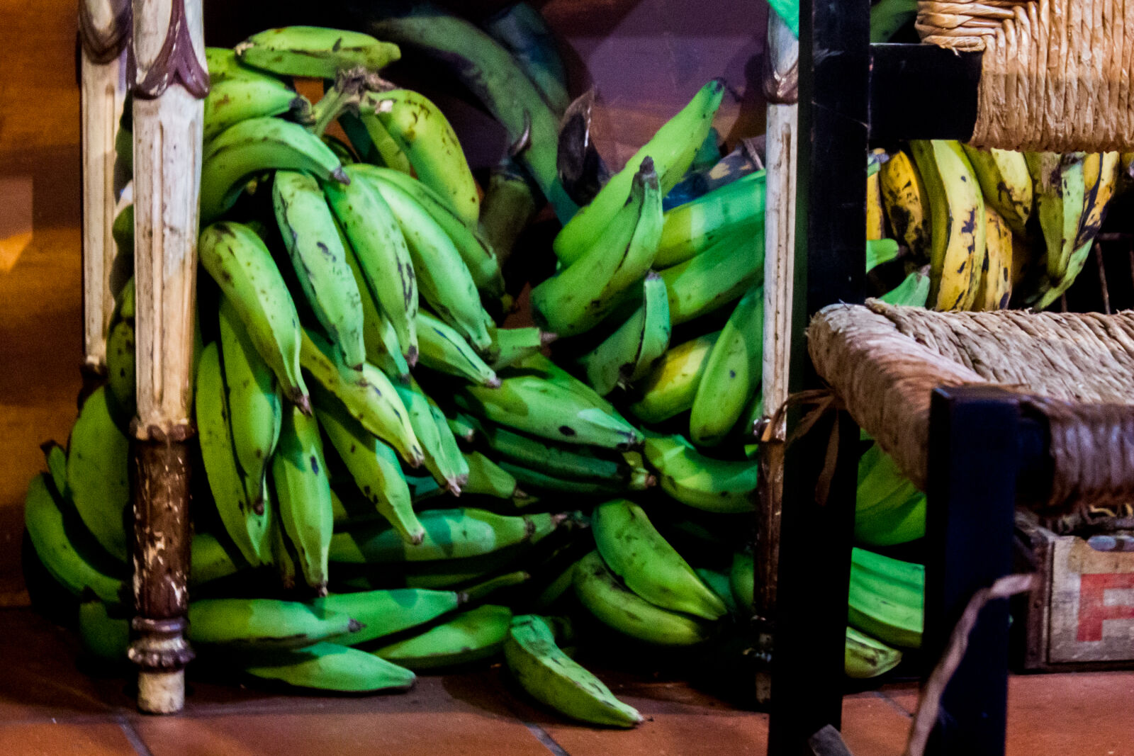 Canon EOS 600D (Rebel EOS T3i / EOS Kiss X5) sample photo. Plantains, san, juan, puerto photography