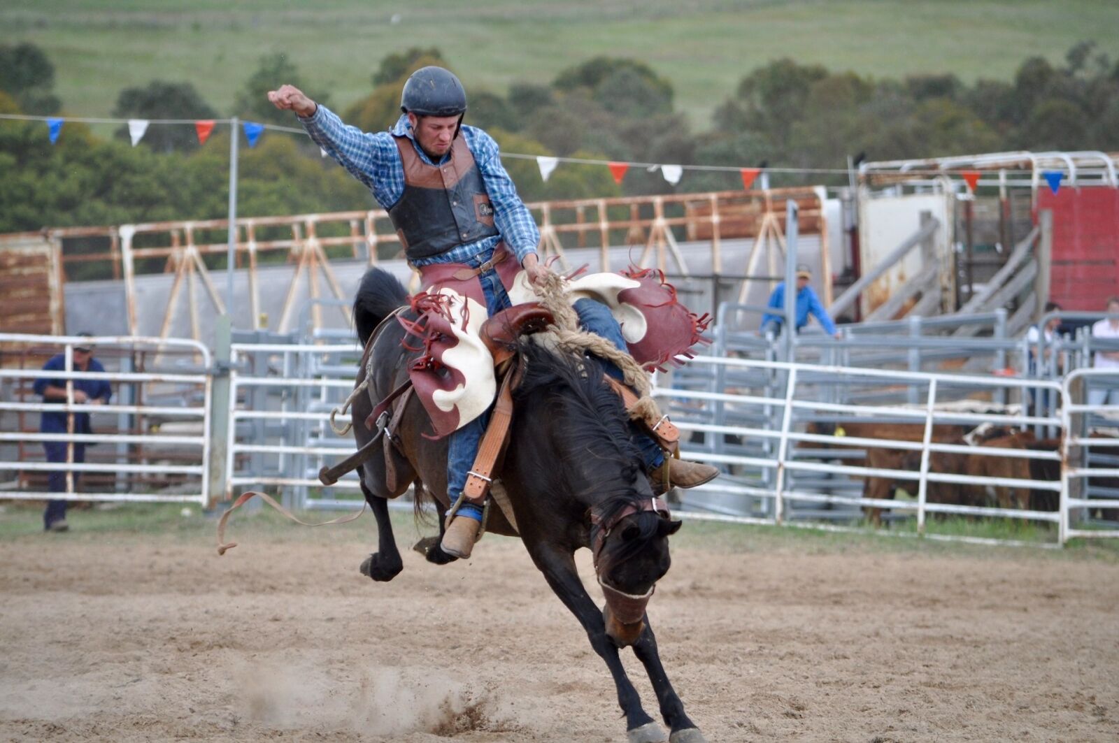 Nikon D5000 sample photo. Cowboys, bronc rider, rodeo photography
