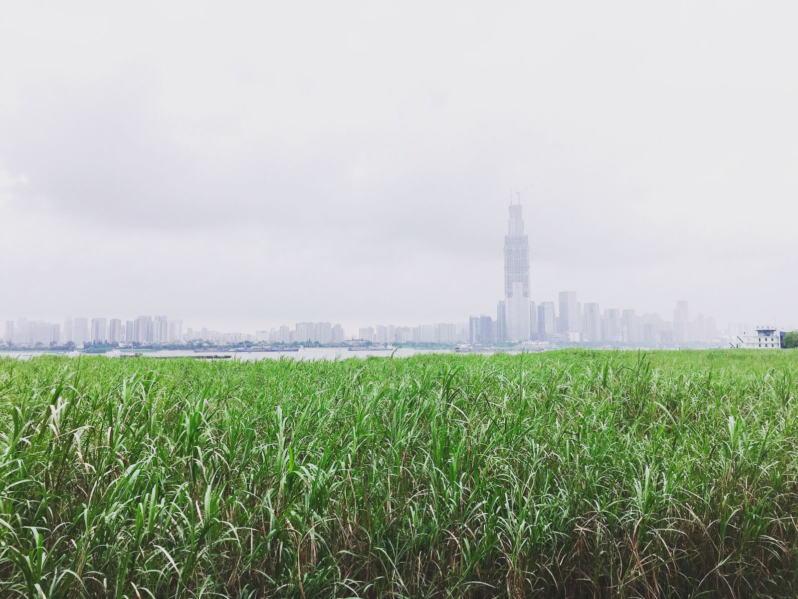 iPhone 6 Plus back camera 4.15mm f/2.2 sample photo. Wuhan, riverside, the yangtze photography