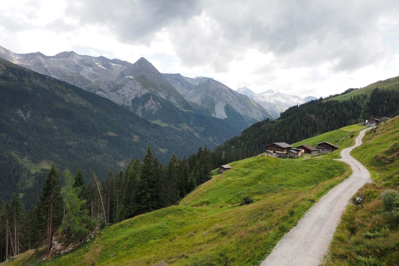 Olympus OM-D E-M1 + Olympus M.Zuiko Digital ED 12-40mm F2.8 Pro sample photo. Mountains, austria, zillertal photography