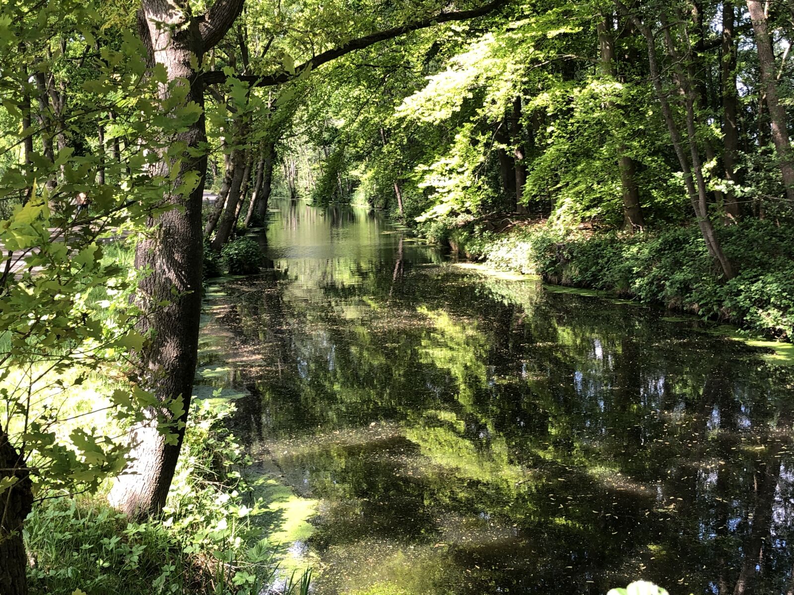 iPhone X back dual camera 4mm f/1.8 sample photo. The old luntersebeek, water photography