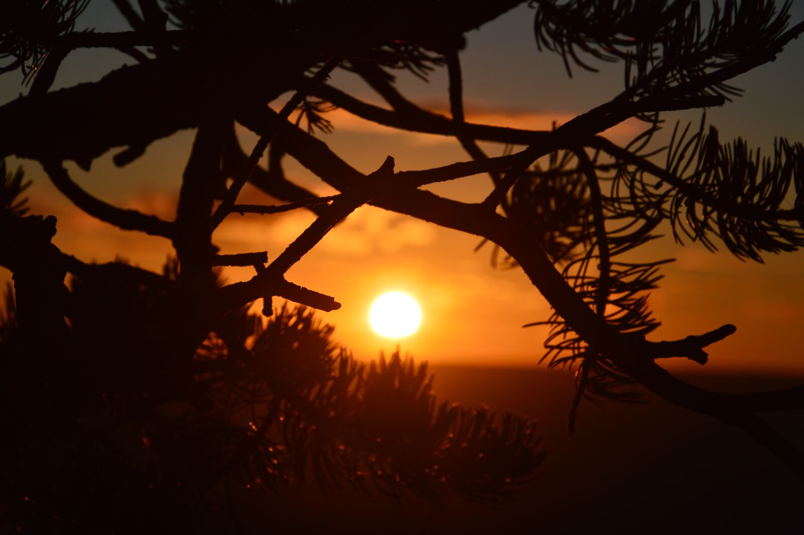Nikon D3200 sample photo. Sunrise, sun, clouds photography