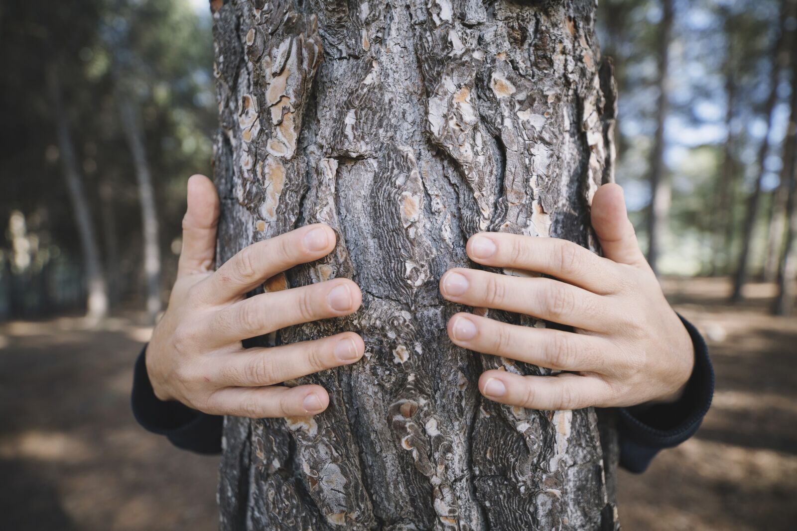 Canon EOS 6D sample photo. Tree, nature, outdoors photography