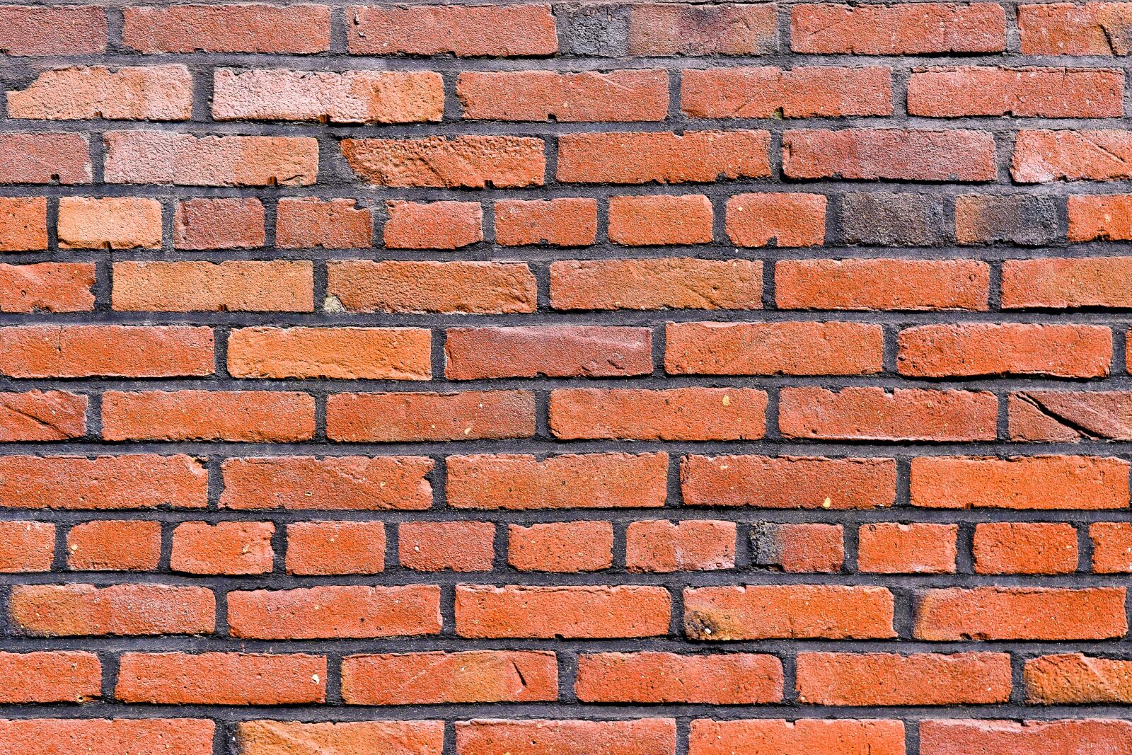 Nikon D3300 sample photo. Texture, stone, wall photography