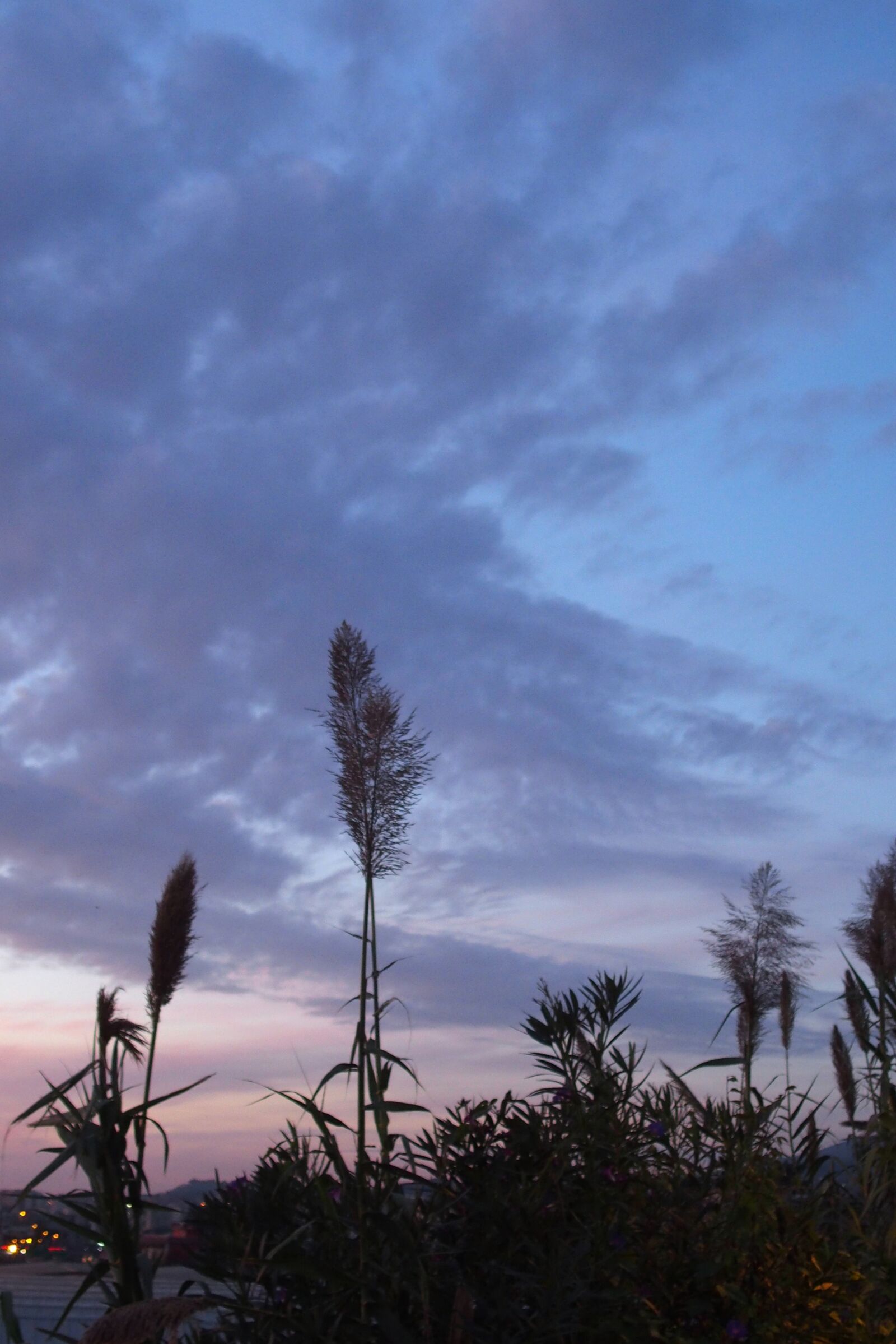 Olympus STYLUS1,1s sample photo. Sunset, air, wool photography
