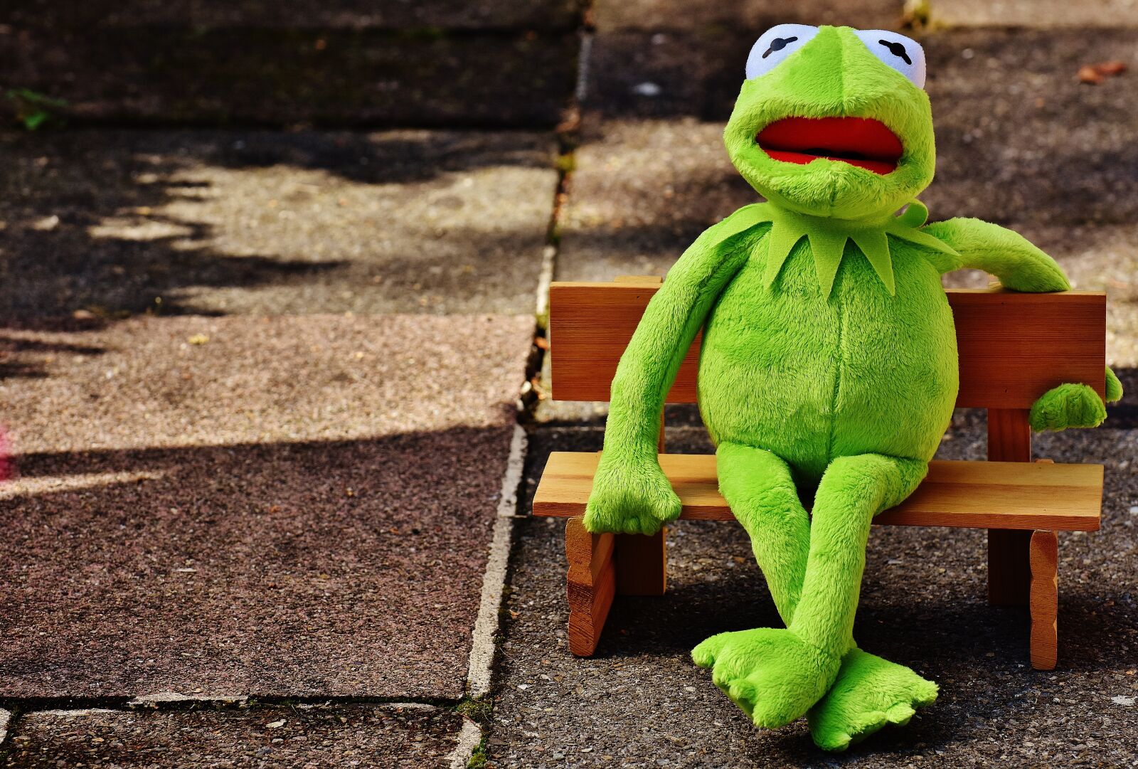 Nikon D7200 sample photo. Kermit, frog, bank photography