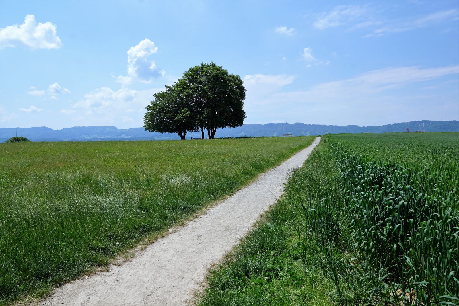 Sony ILCA-77M2 + Sony DT 16-50mm F2.8 SSM sample photo. Zollikon, switzerland, zurich photography