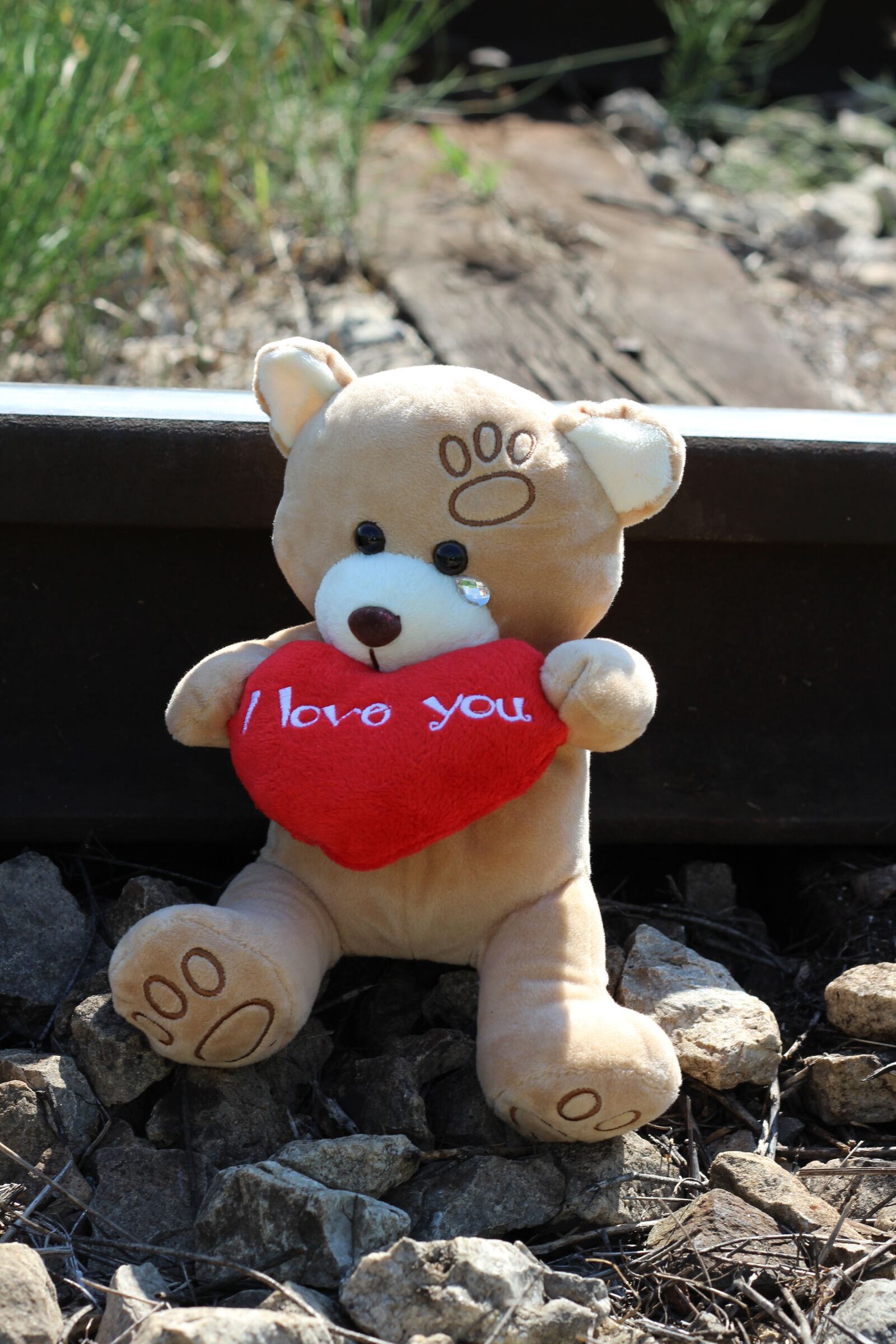 Canon EOS 600D (Rebel EOS T3i / EOS Kiss X5) + Canon EF 50mm F1.8 II sample photo. Stop child suicide, teddy photography