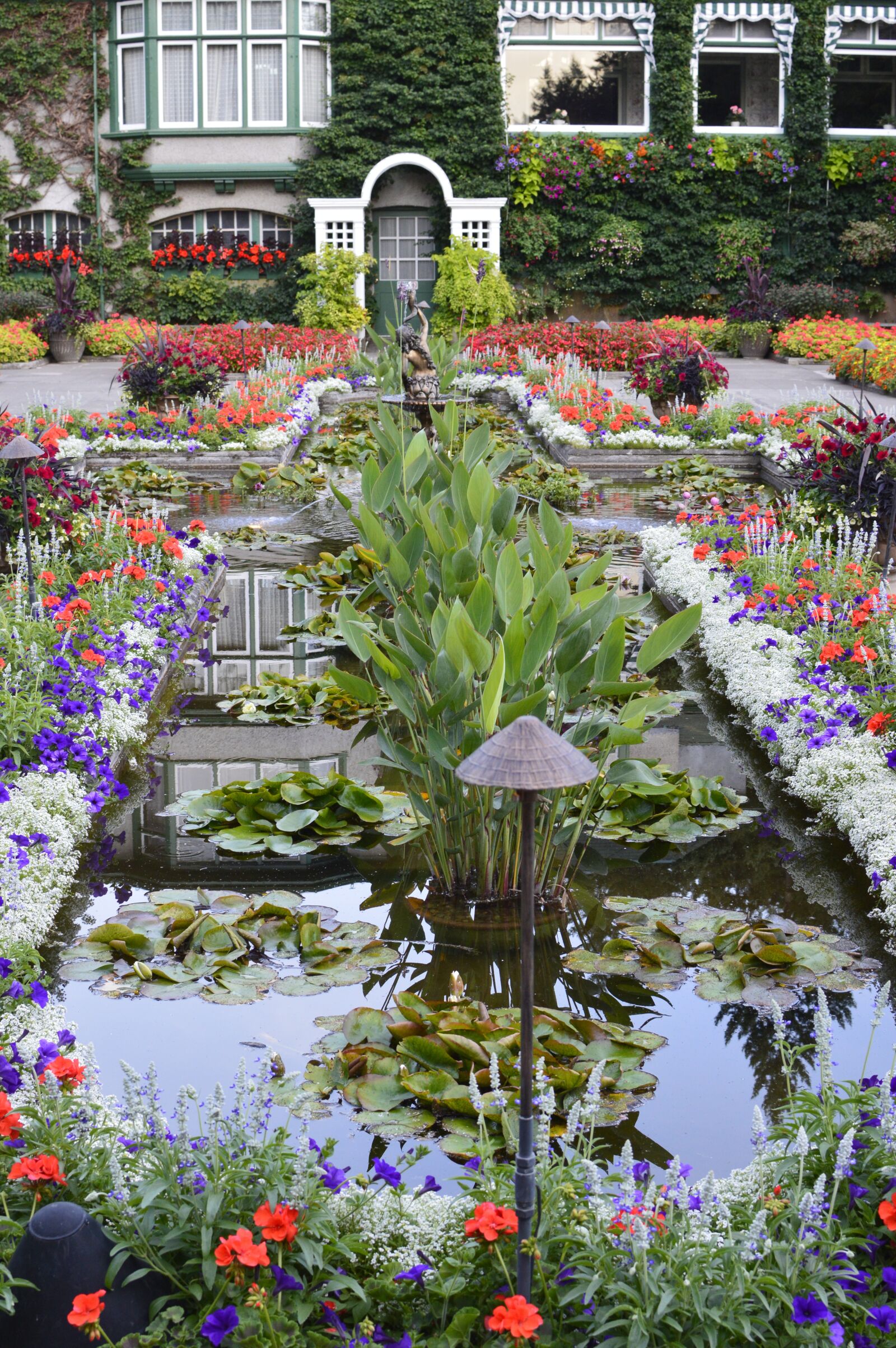 Nikon D3200 sample photo. Water garden, plants, flowers photography