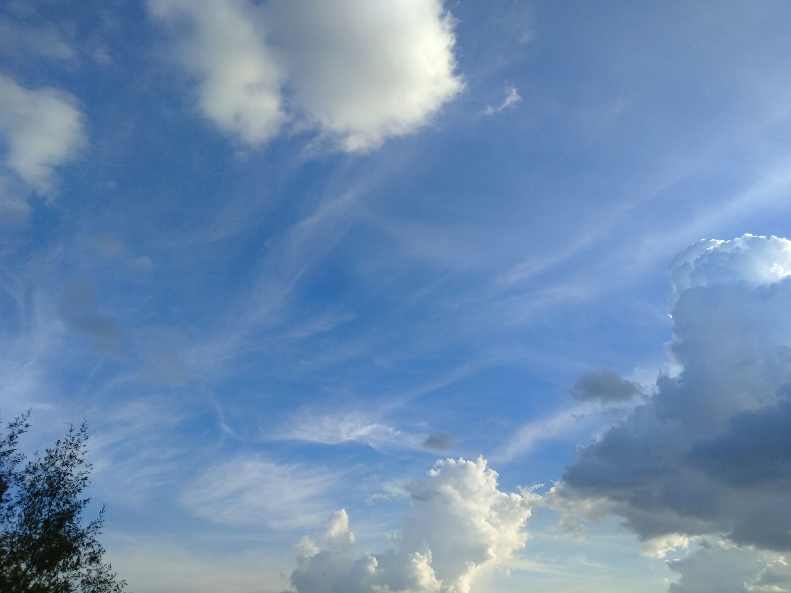 ASUS ZenFone 4 Selfie (ZD553KL) sample photo. Bengaluru, blue, sky photography
