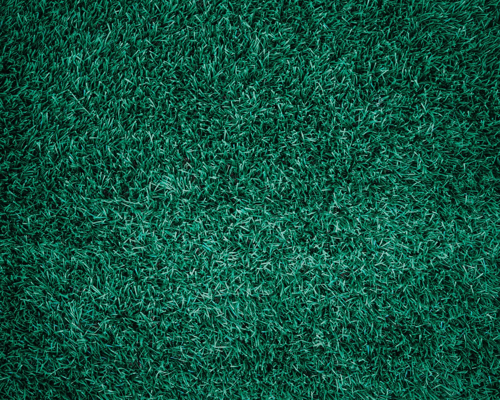 Nikon D610 sample photo. Grass, backdrop, background photography