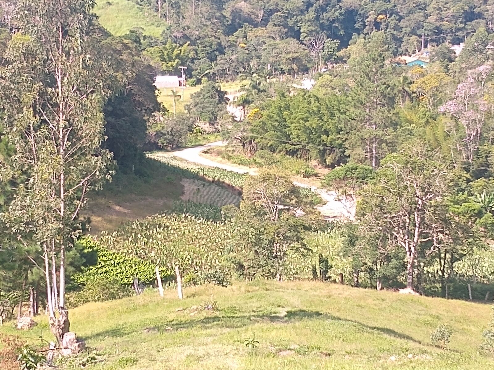 Motorola moto g(8) plus sample photo. Landscape, field, roça photography