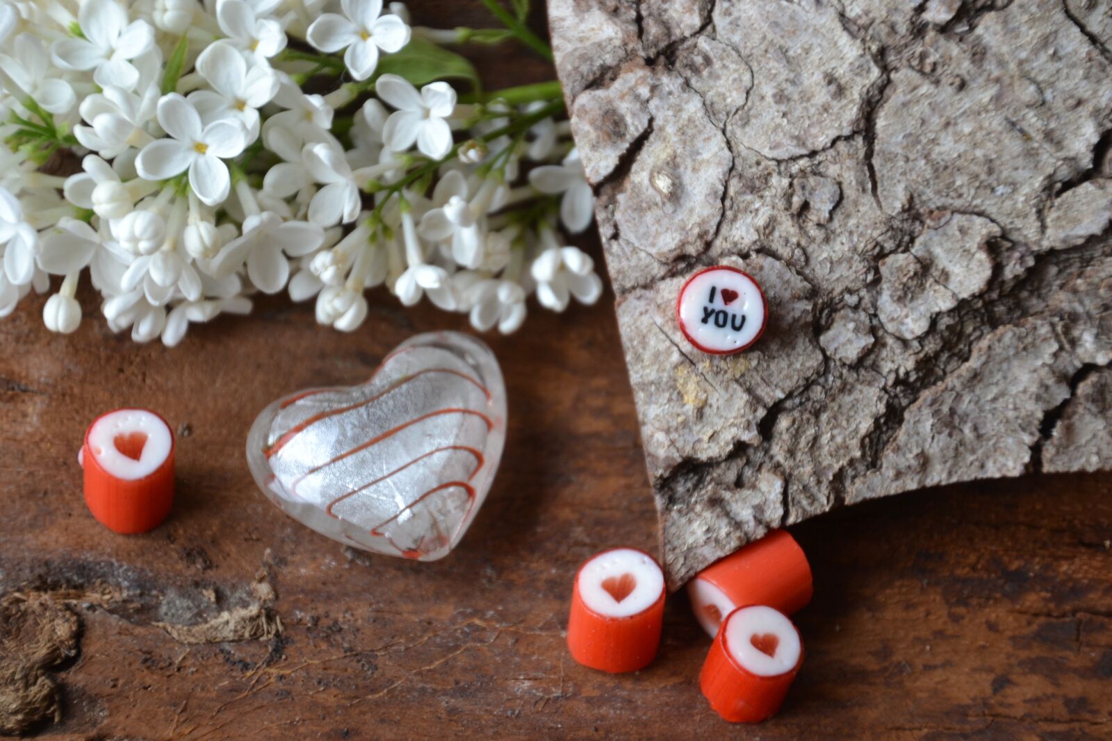 Nikon D3100 sample photo. Heart, symbol, heart shape photography
