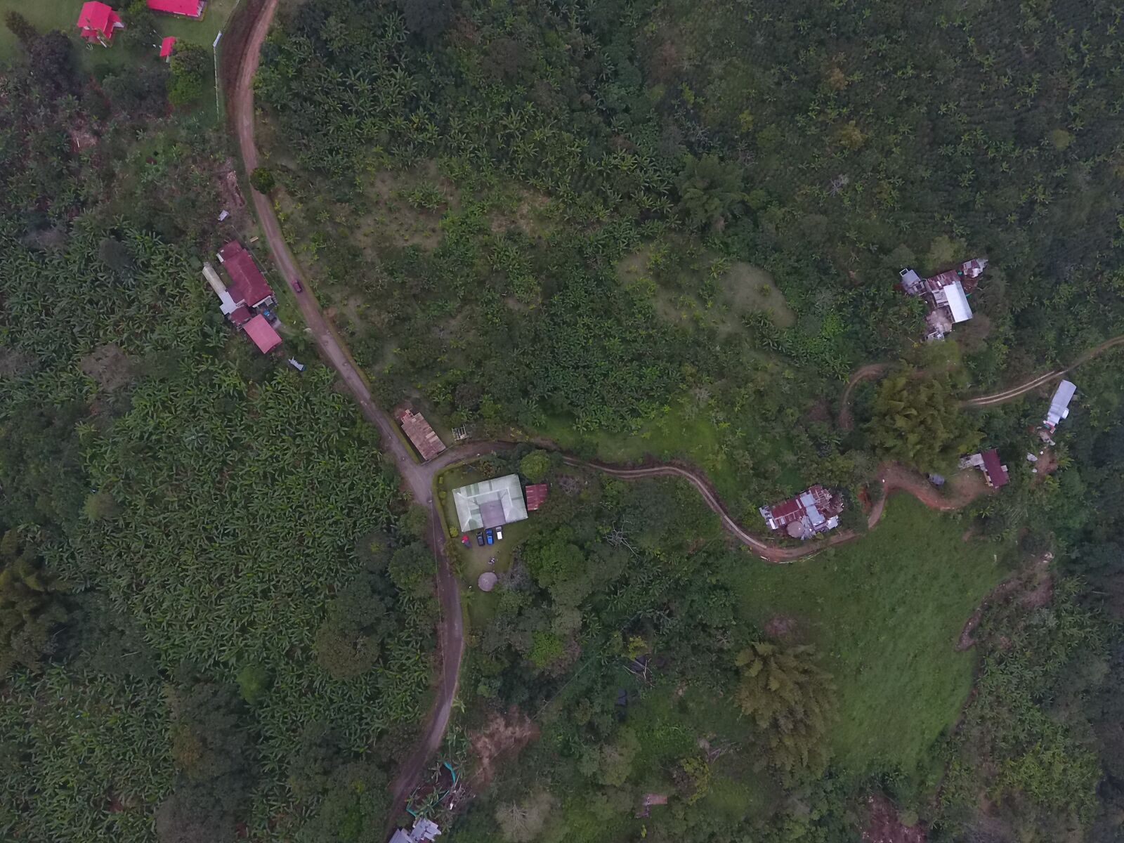 DJI FC330 sample photo. Cultivos, cafe, colombia photography
