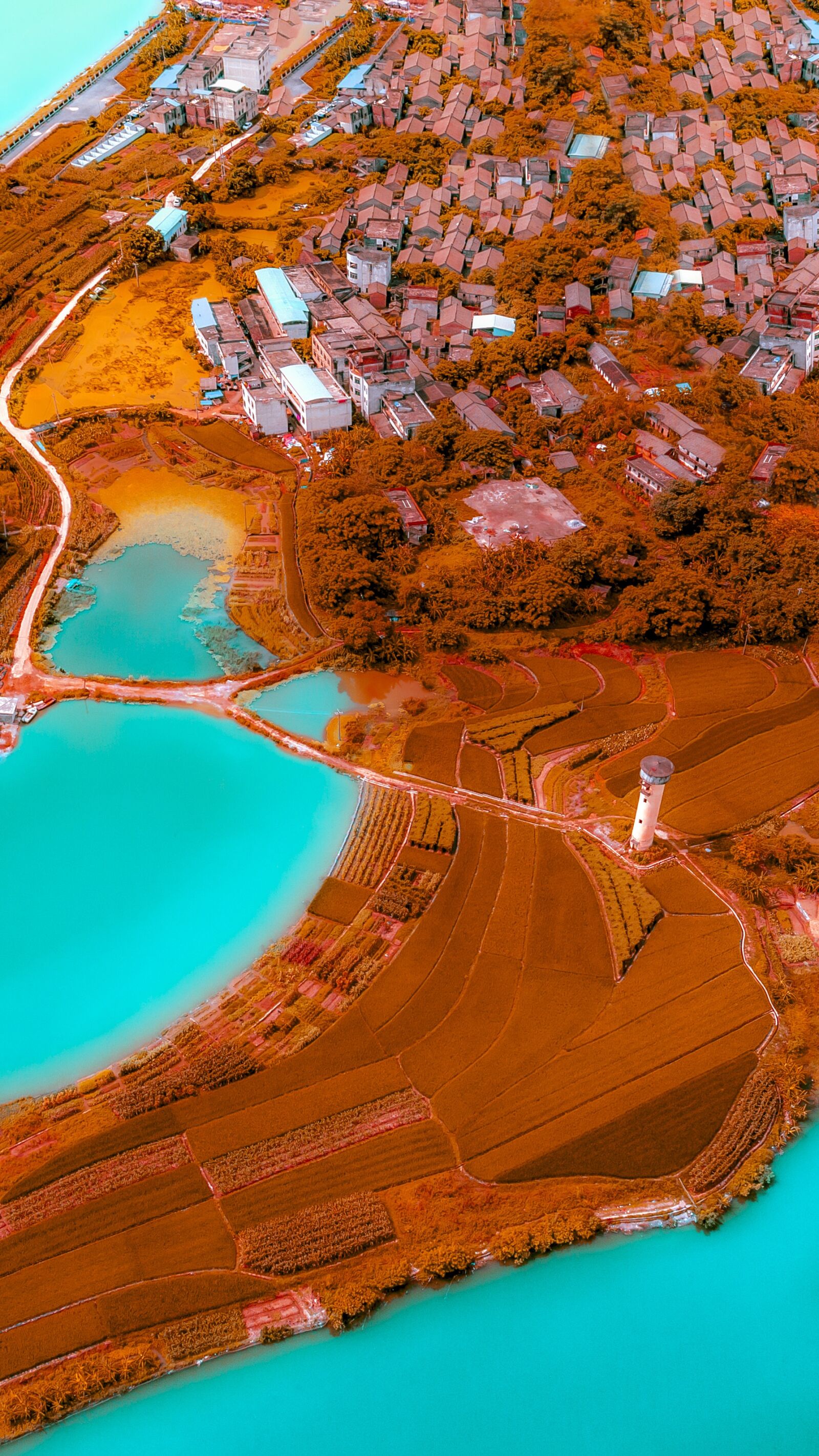 DJI FC6310 sample photo. Paddy, good looking, landscape photography