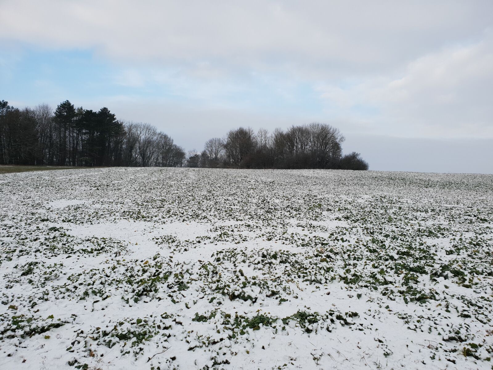 Samsung SM-G960F sample photo. Landscape, sorry, snow photography