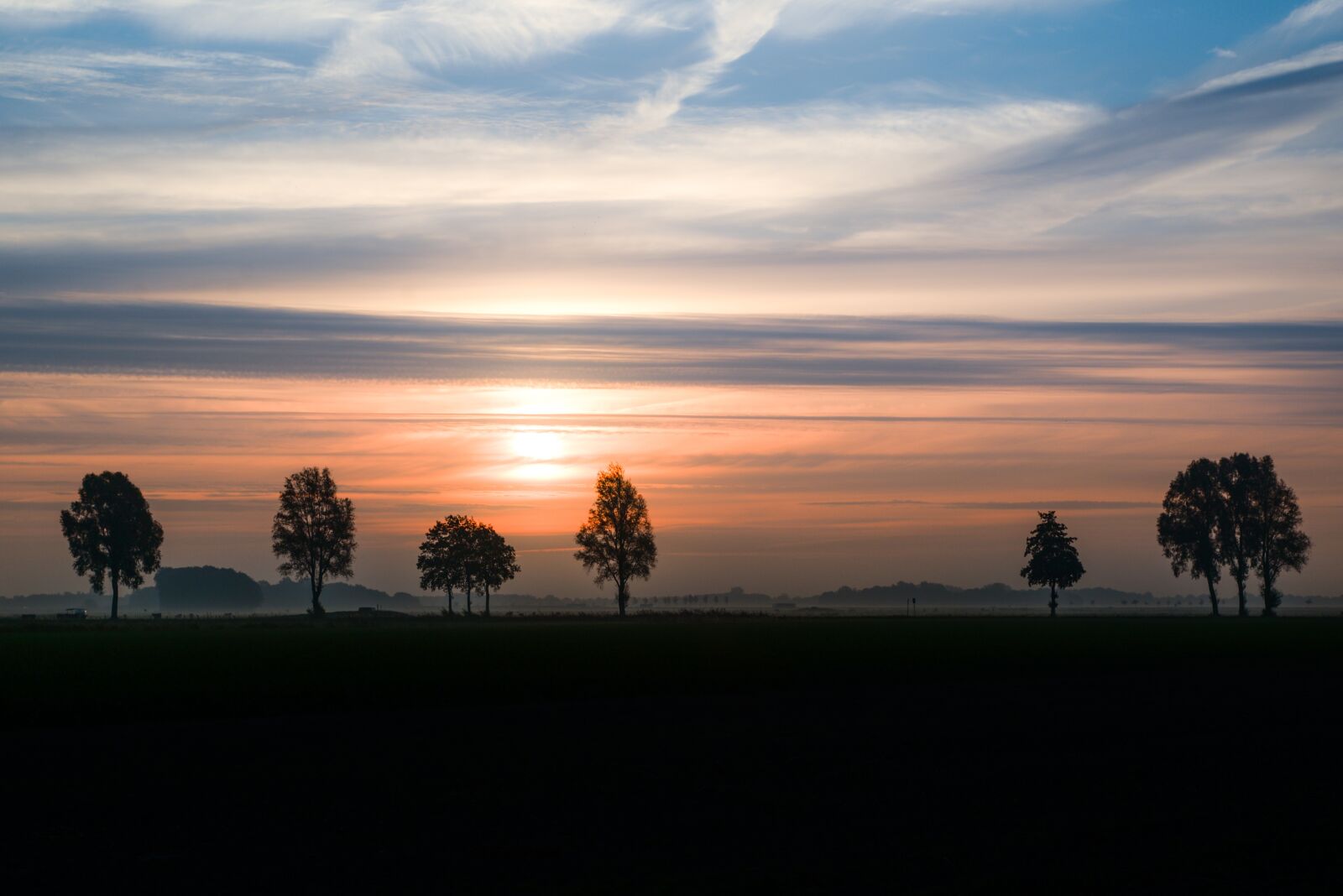 Nikon D610 sample photo. Trees, sunrise, silhouette photography