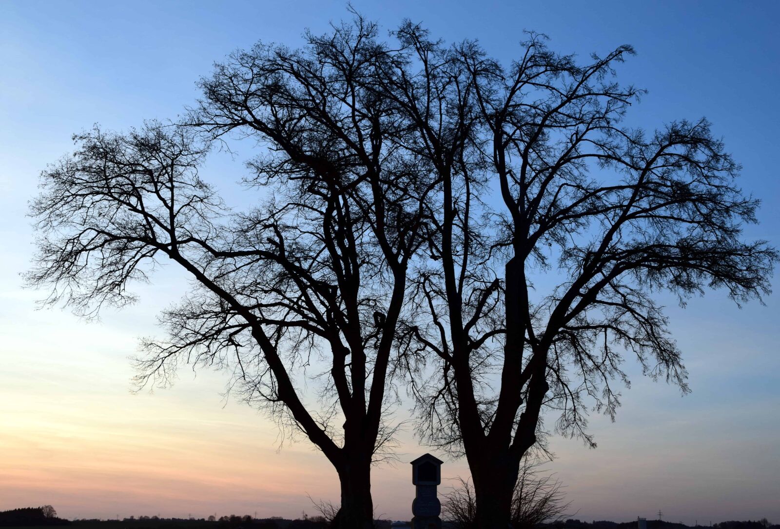 Nikon D3300 sample photo. Landscape, nature, wood, tree photography