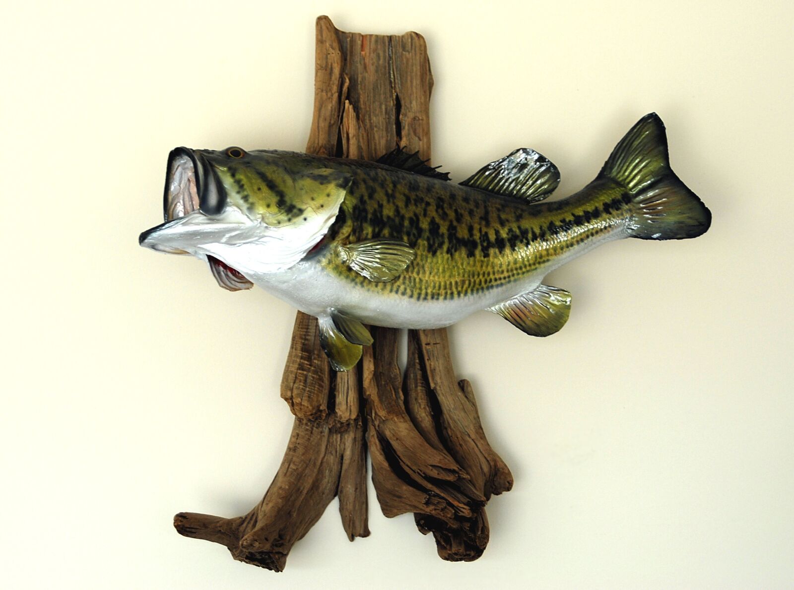 Nikon D200 sample photo. Large mouth, bass, mounted photography