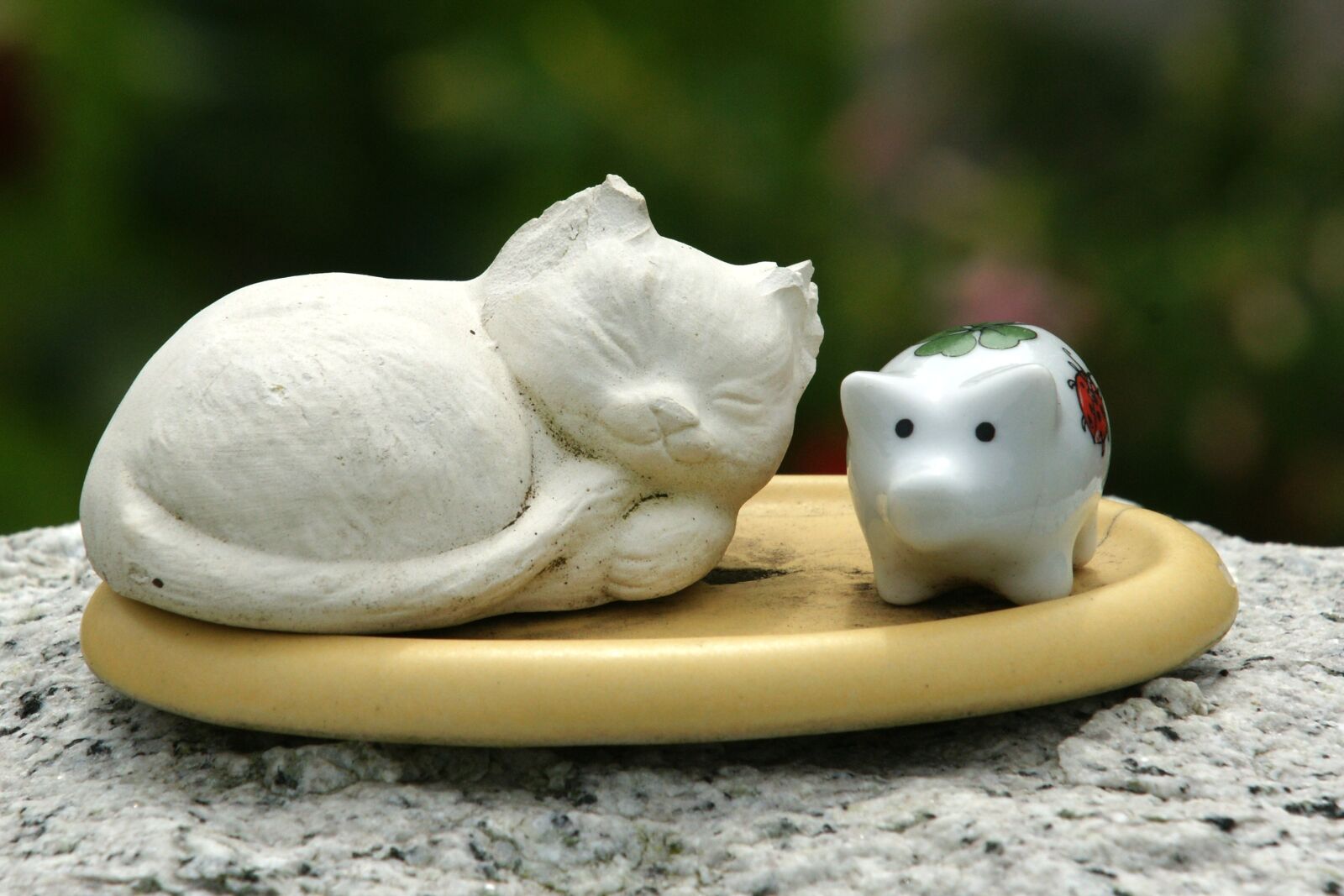 Sony Alpha DSLR-A700 sample photo. Cat, pig, deco photography
