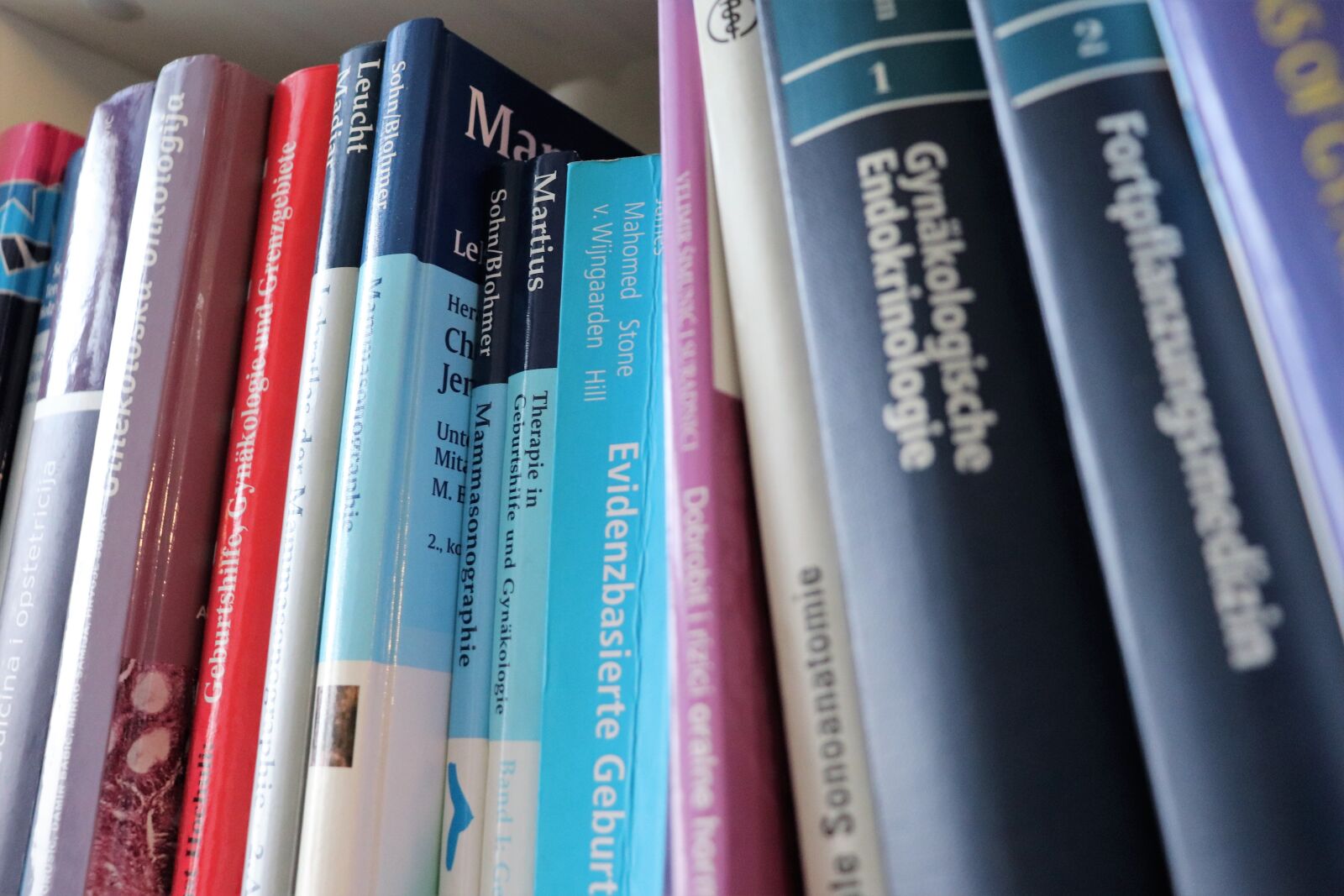 Canon EOS 800D (EOS Rebel T7i / EOS Kiss X9i) sample photo. Books, shell, reading photography